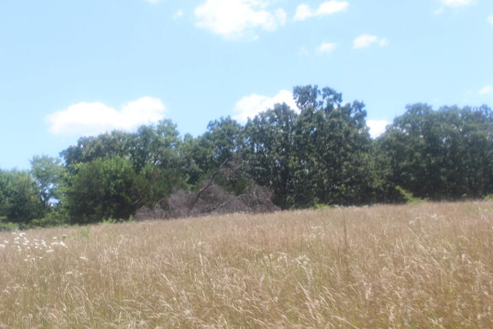 Photo 25 - Land for sale – 3176 S 170th Road  Polk, MO
