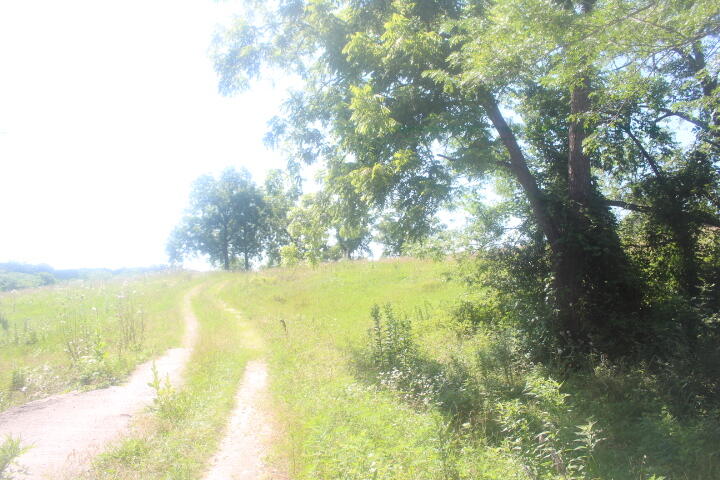 Photo 16 - Land for sale – 3176 S 170th Road  Polk, MO