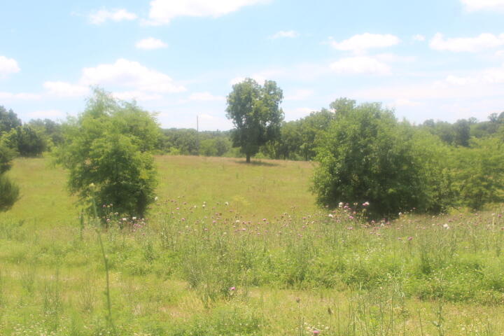 Photo 24 - Land for sale – 3176 S 170th Road  Polk, MO