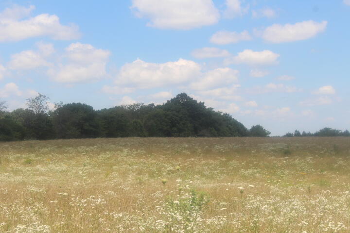 Photo 29 - Land for sale – 3176 S 170th Road  Polk, MO