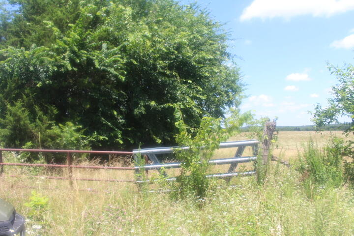 Photo 12 - Land for sale – 3176 S 170th Road  Polk, MO