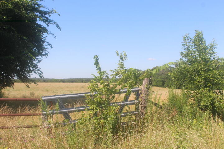 Photo 11 - Land for sale – 3176 S 170th Road  Polk, MO