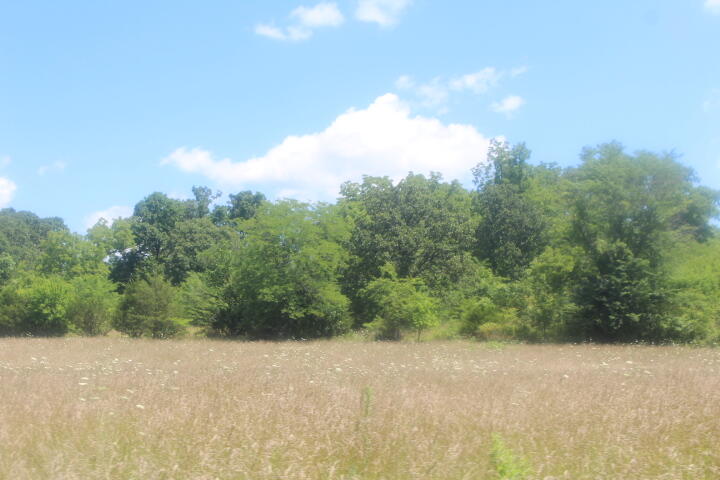 Photo 50 - Land for sale – 3176 S 170th Road  Polk, MO