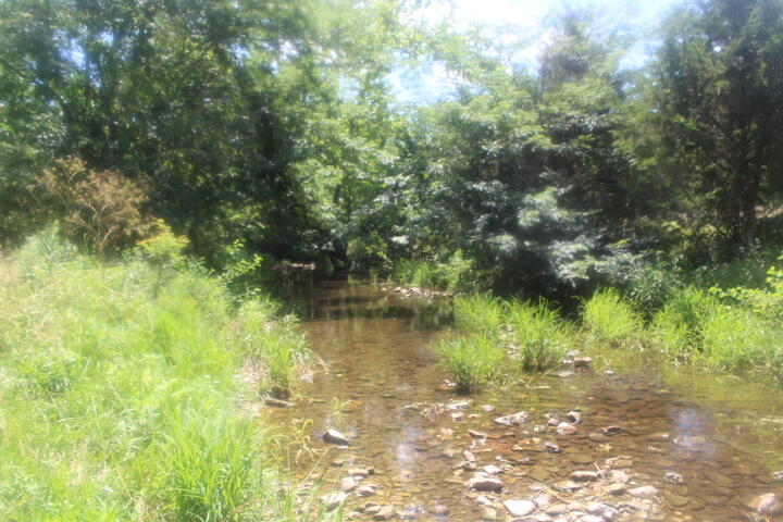 Photo 40 - Land for sale – 3176 S 170th Road  Polk, MO