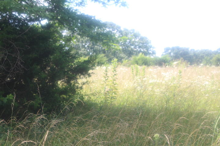 Photo 31 - Land for sale – 3176 S 170th Road  Polk, MO