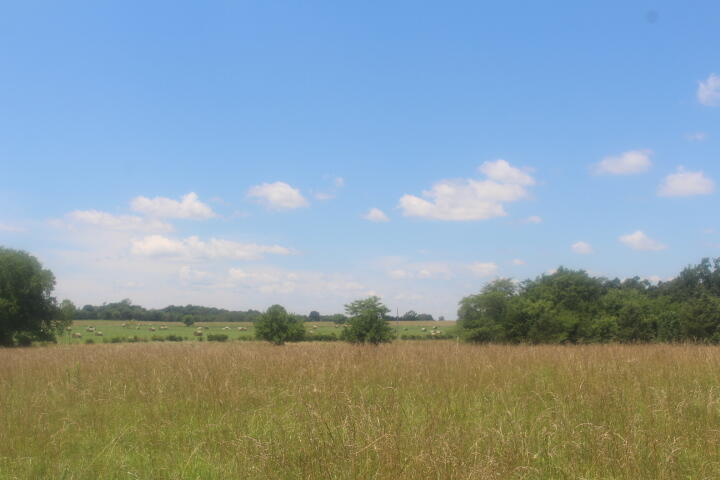 Photo 32 - Land for sale – 3176 S 170th Road  Polk, MO