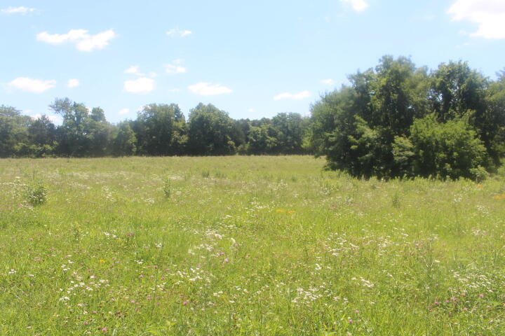 Photo 58 - Land for sale – 3176 S 170th Road  Polk, MO