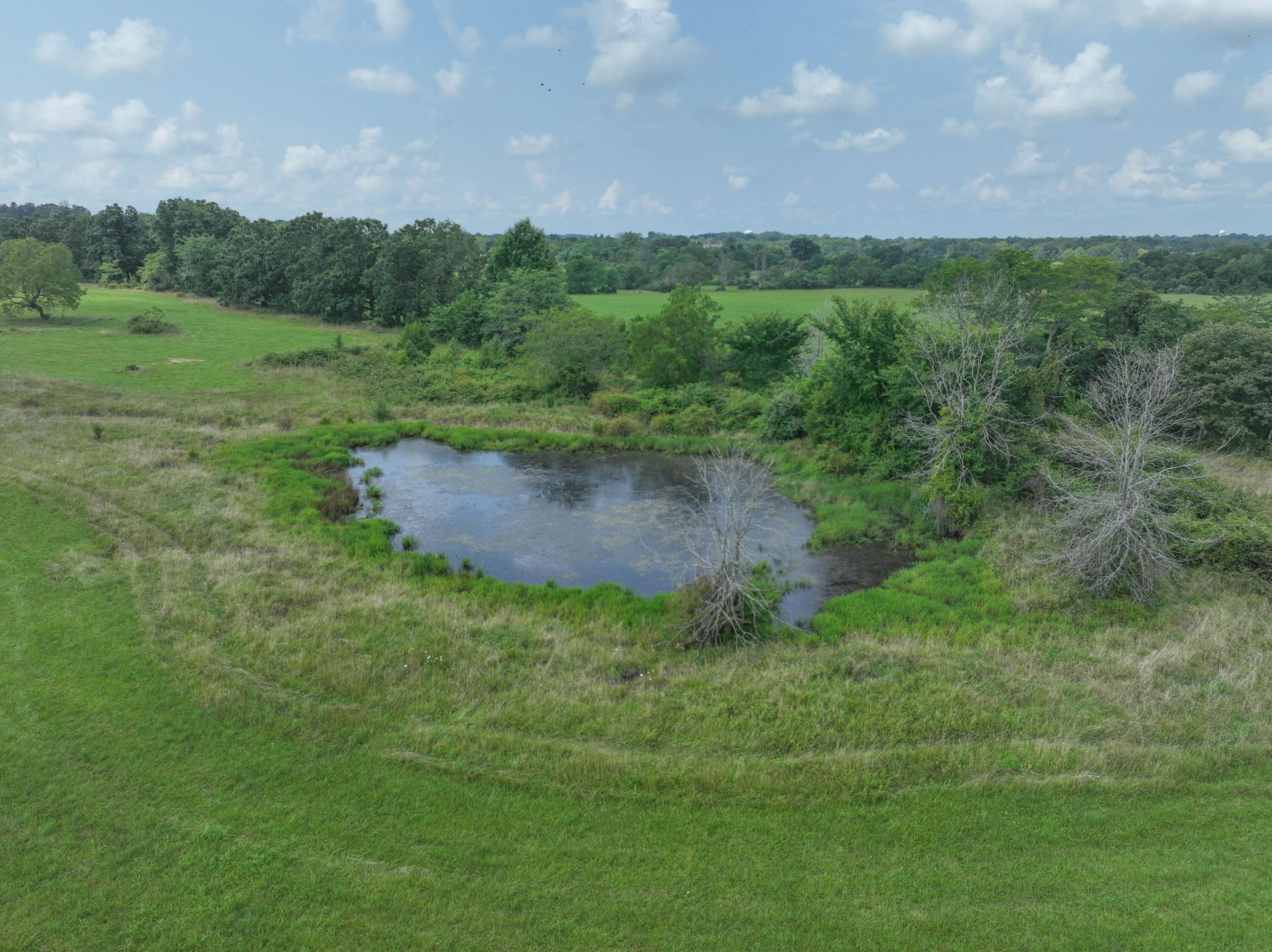 Photo 14 - Land for sale – 000  Sunshine Street  Mountain Grove, MO