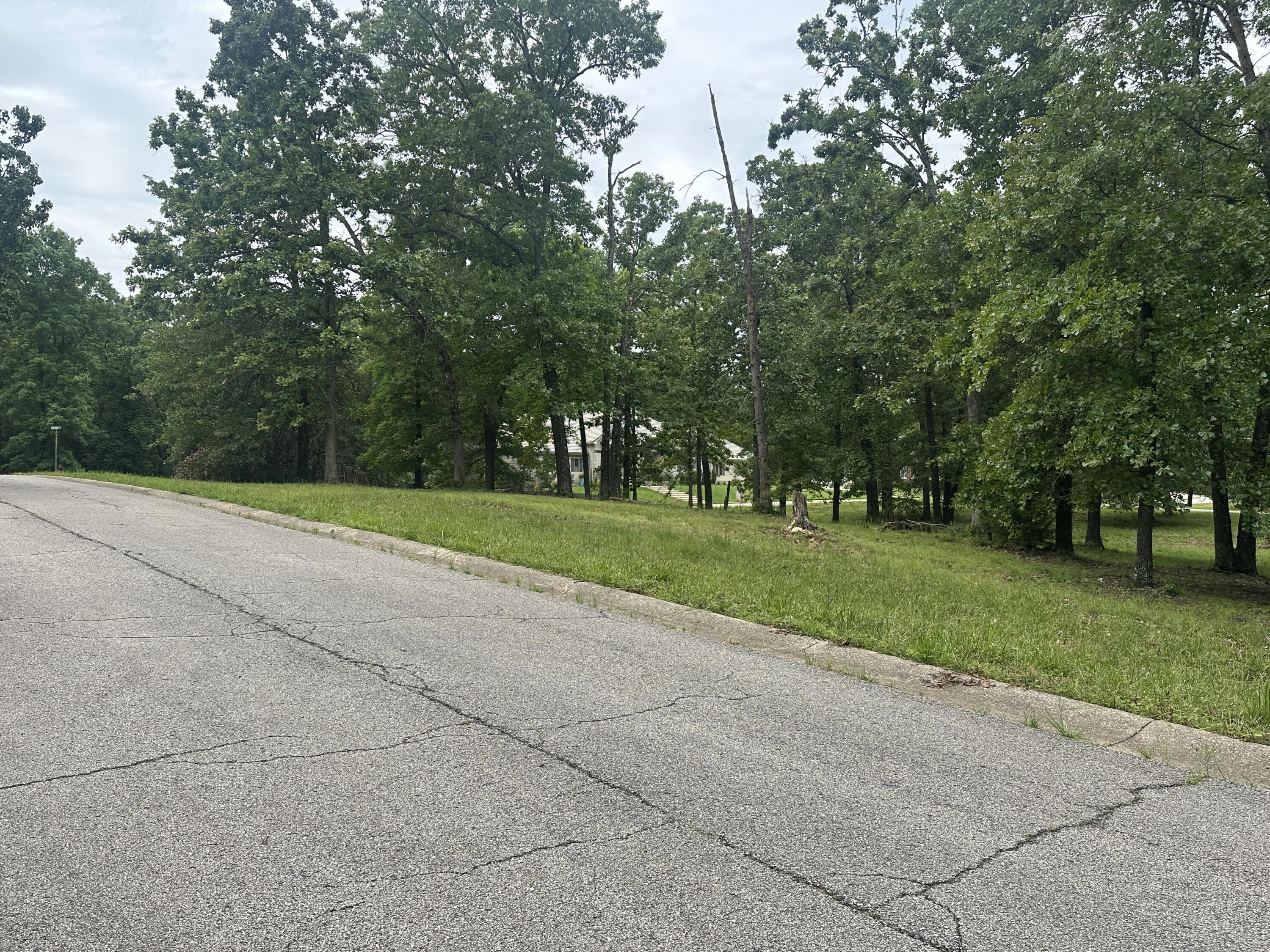 Photo 8 - Land for sale – 2035  Roberta Drive  West Plains, MO