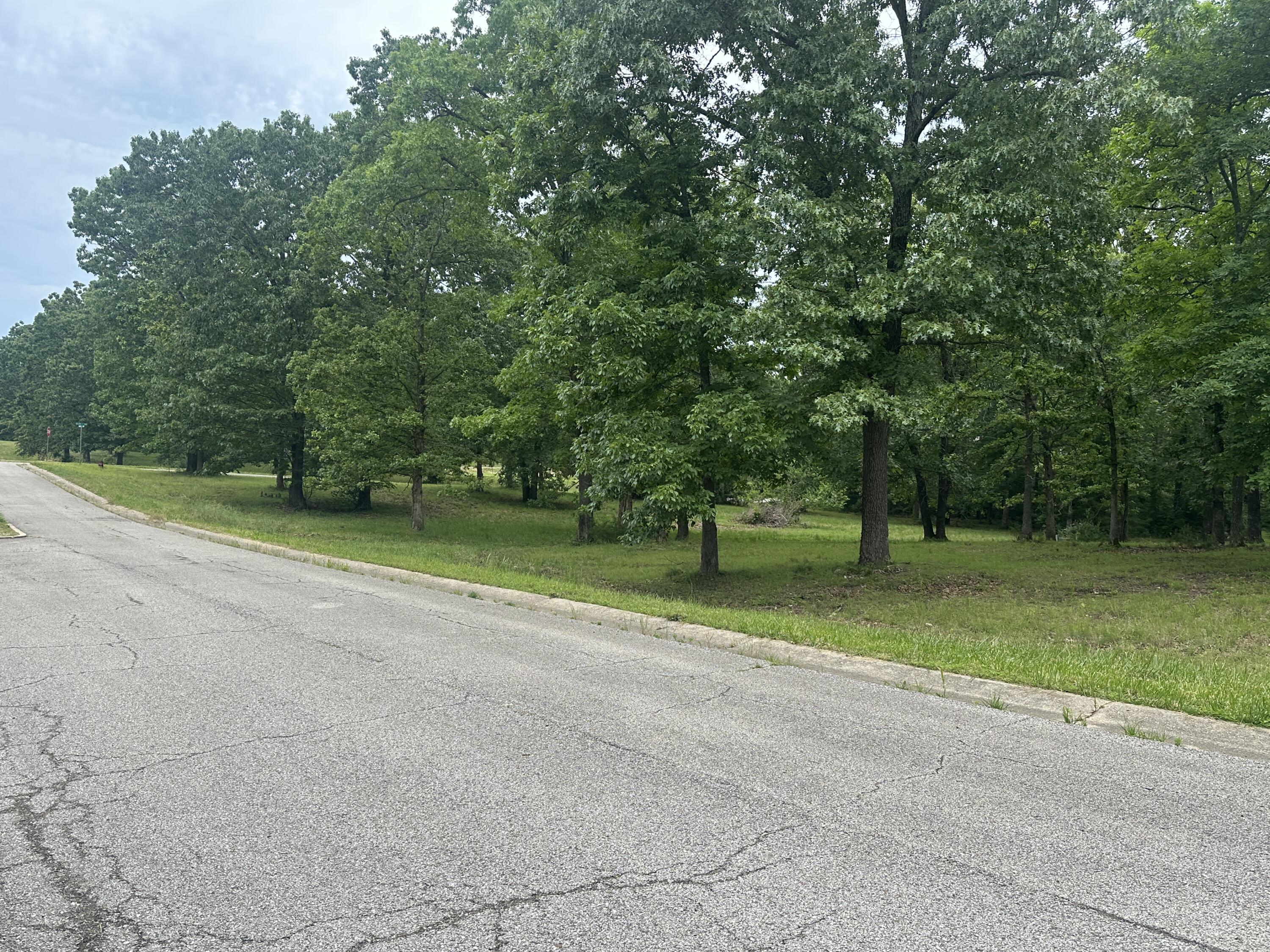 Photo 4 - Land for sale – 2035  Roberta Drive  West Plains, MO