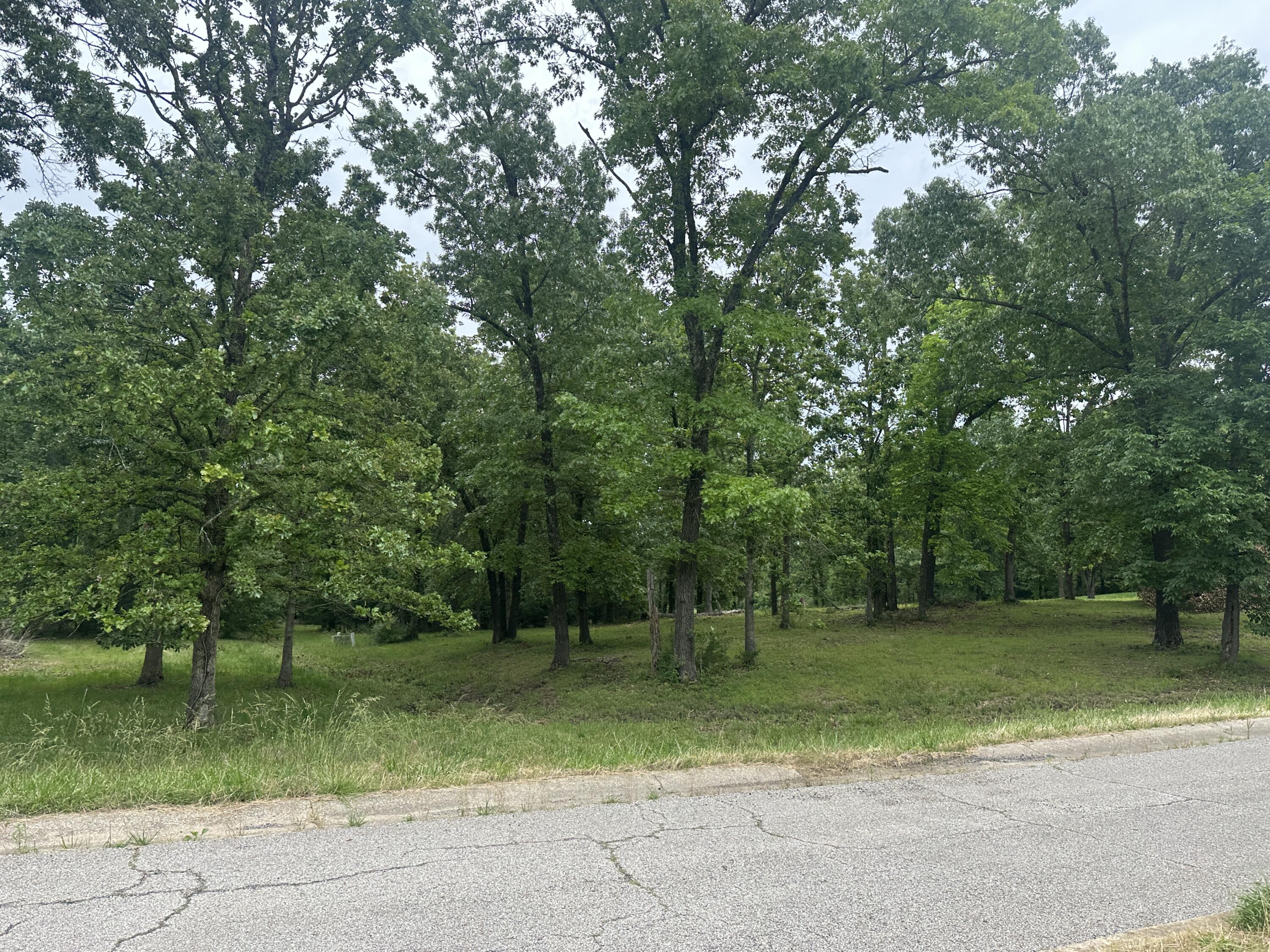 Photo 2 - Land for sale – 2035  Roberta Drive  West Plains, MO