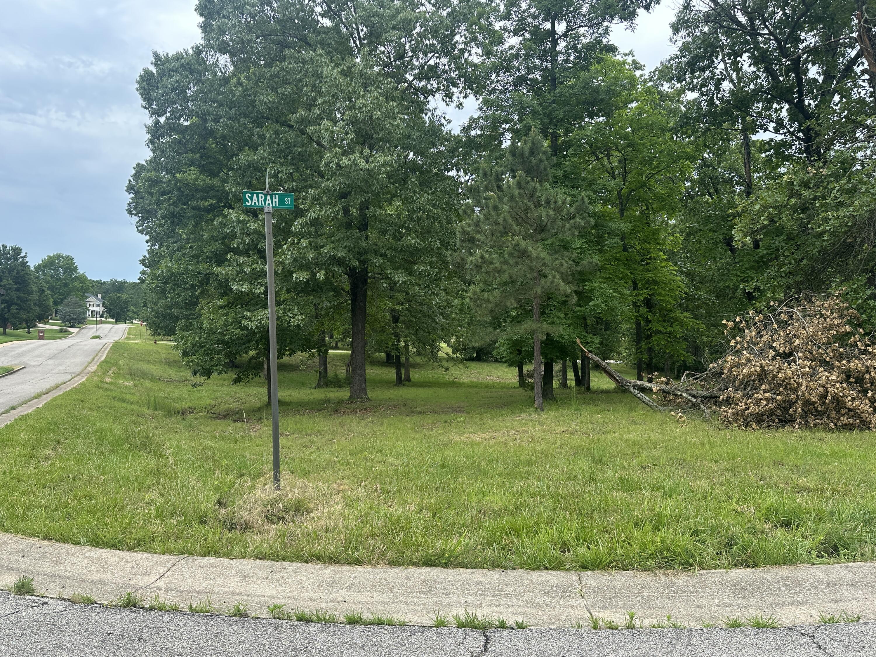 Photo 6 - Land for sale – 2035  Roberta Drive  West Plains, MO