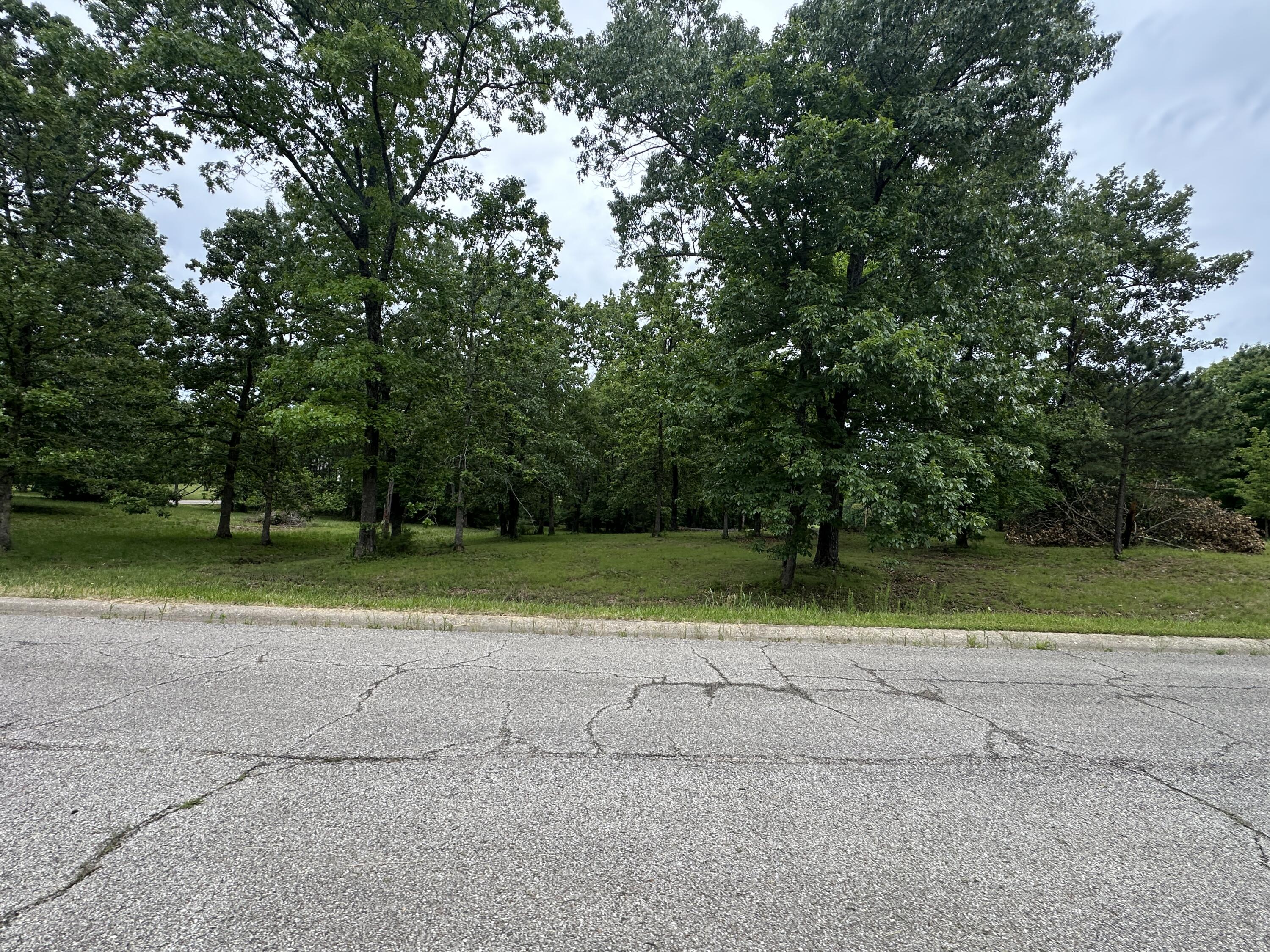Photo 3 - Land for sale – 2035  Roberta Drive  West Plains, MO