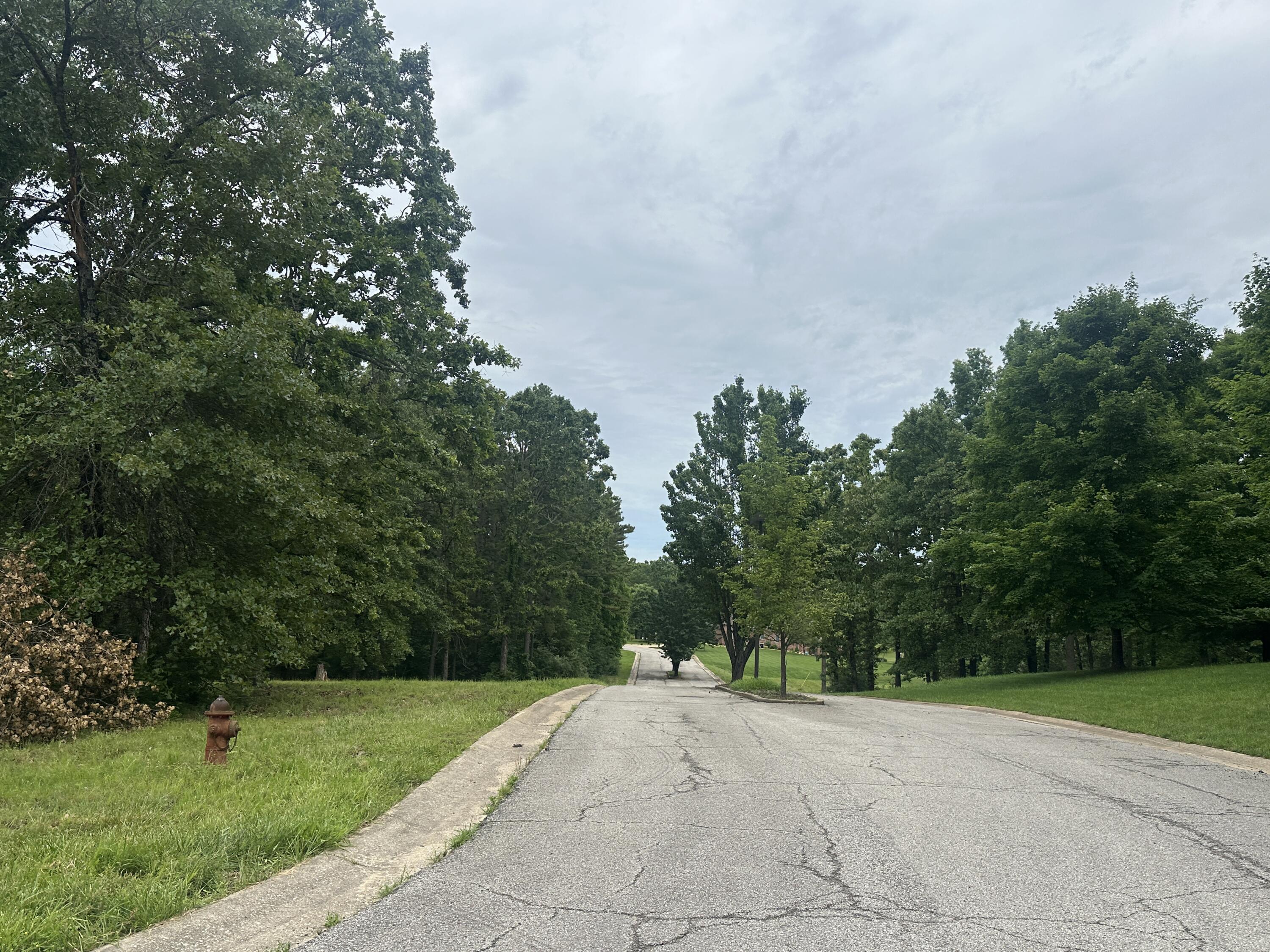 Photo 5 - Land for sale – 2035  Roberta Drive  West Plains, MO