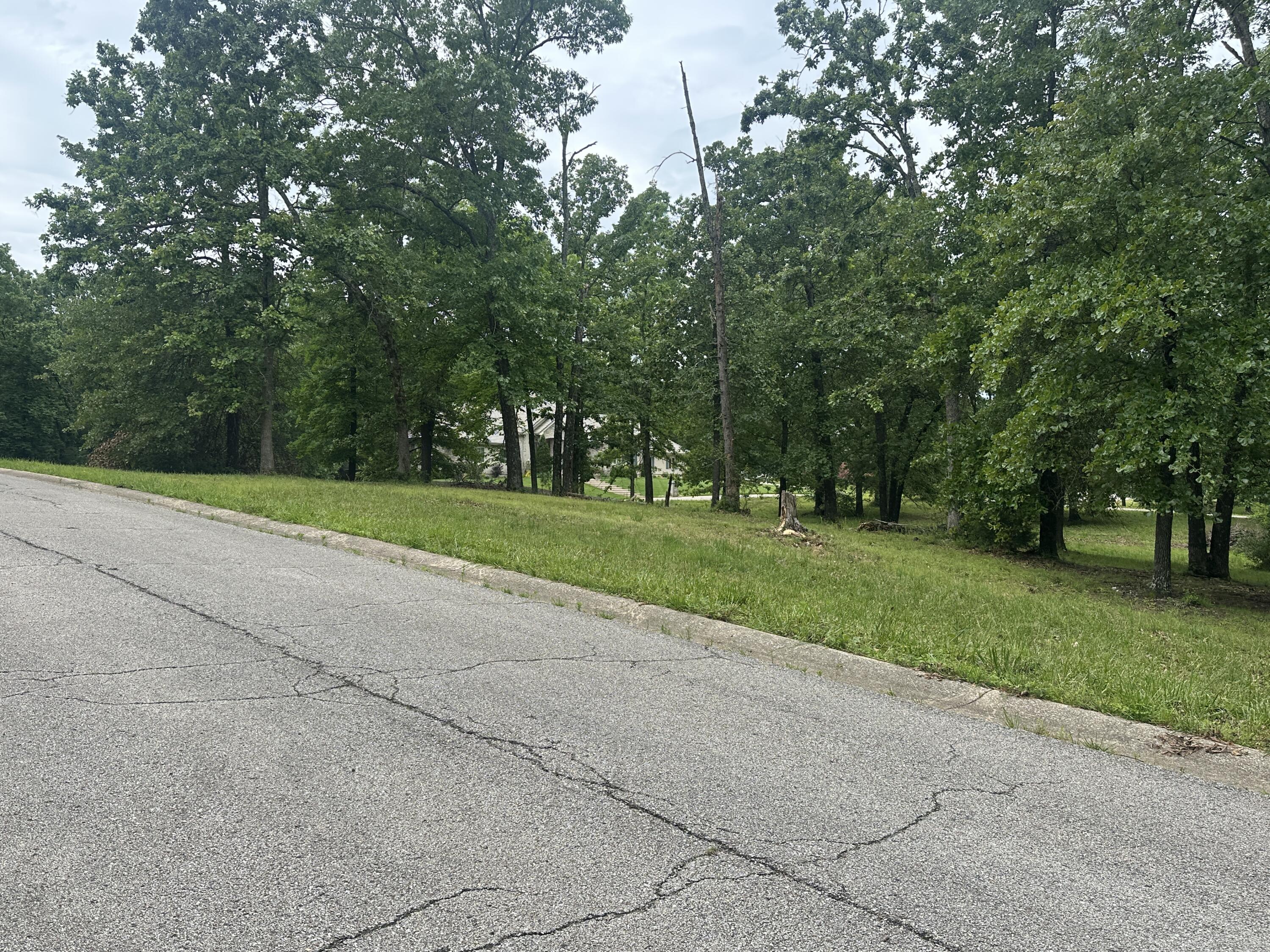Photo 7 - Land for sale – 2035  Roberta Drive  West Plains, MO