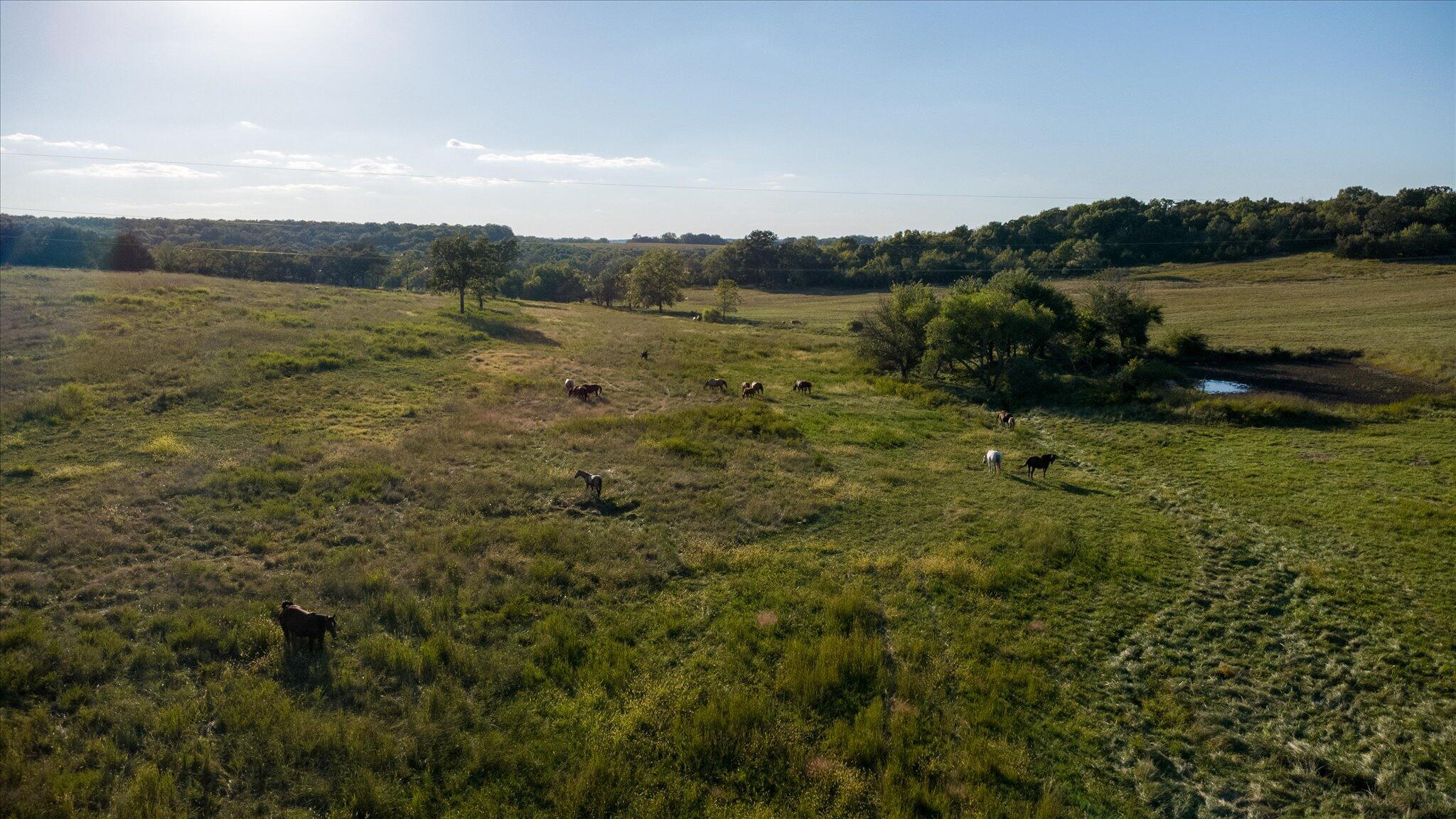 Photo 78 - Farm for sale – 11998 E Highway 32   Stockton, MO