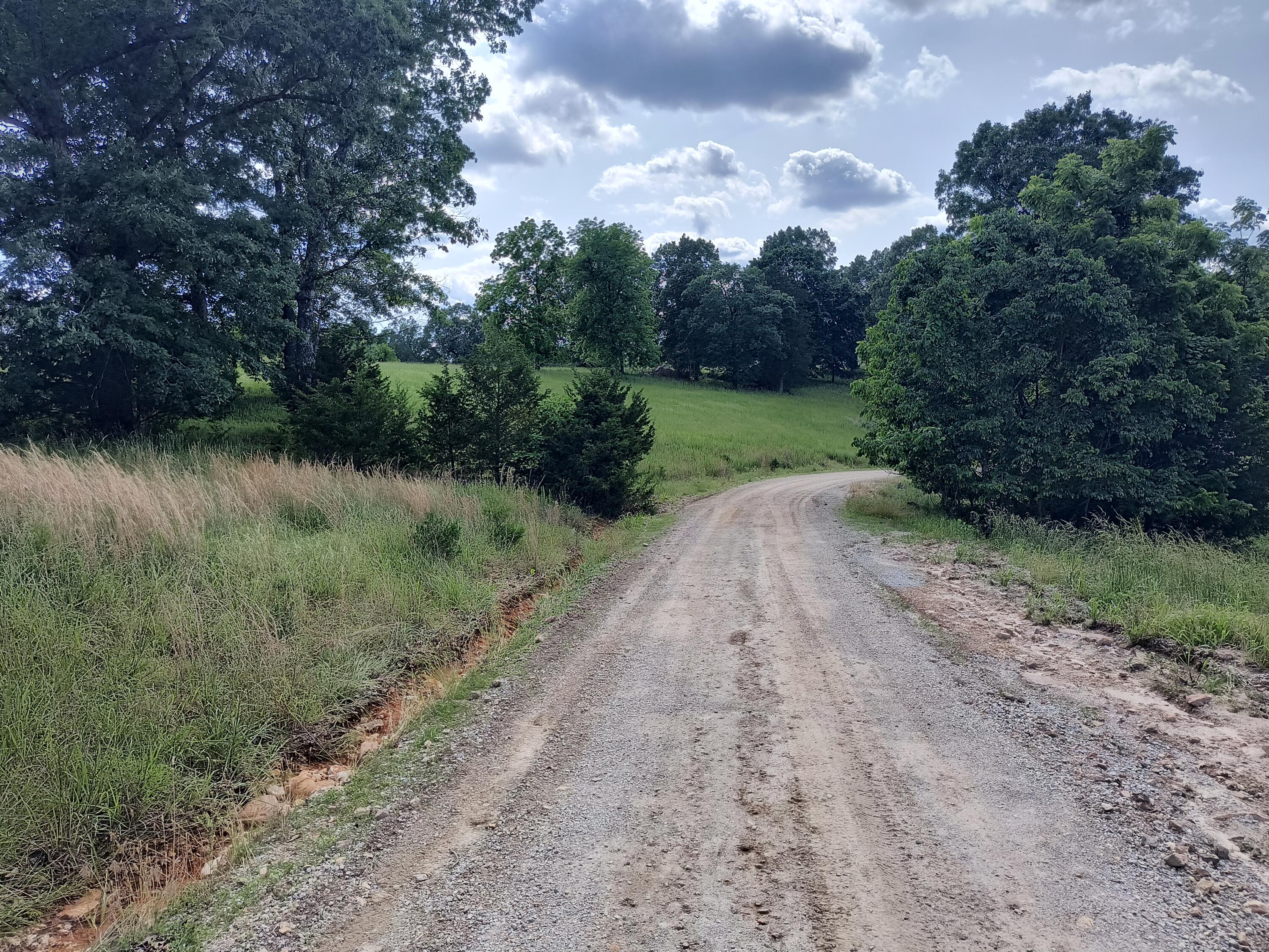 Photo 4 - Land for sale – 000  Eagle Wing   Theodosia, MO
