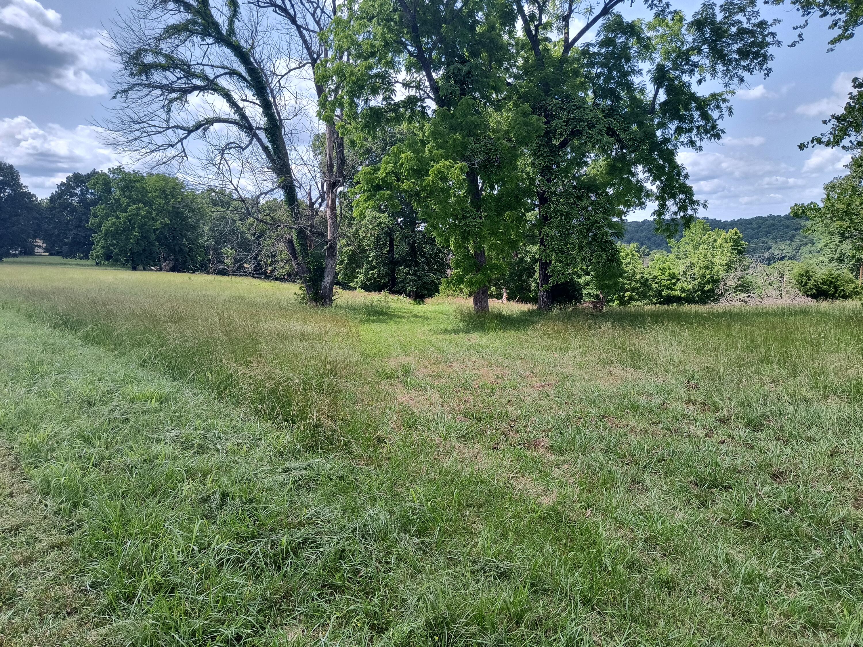 Photo 3 - Land for sale – 000  Eagle Wing   Theodosia, MO