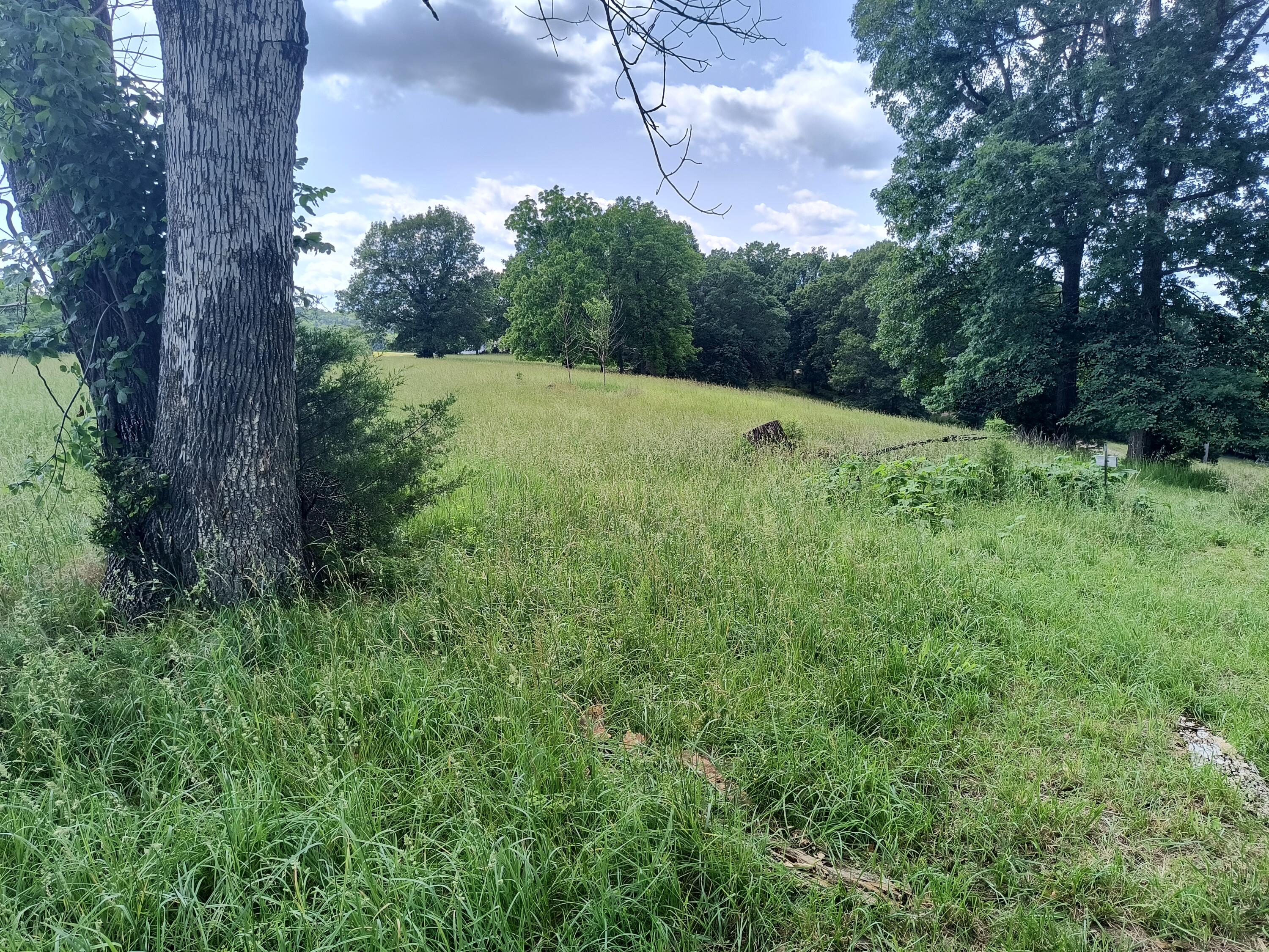 Photo 7 - Land for sale – 000  Eagle Wing   Theodosia, MO