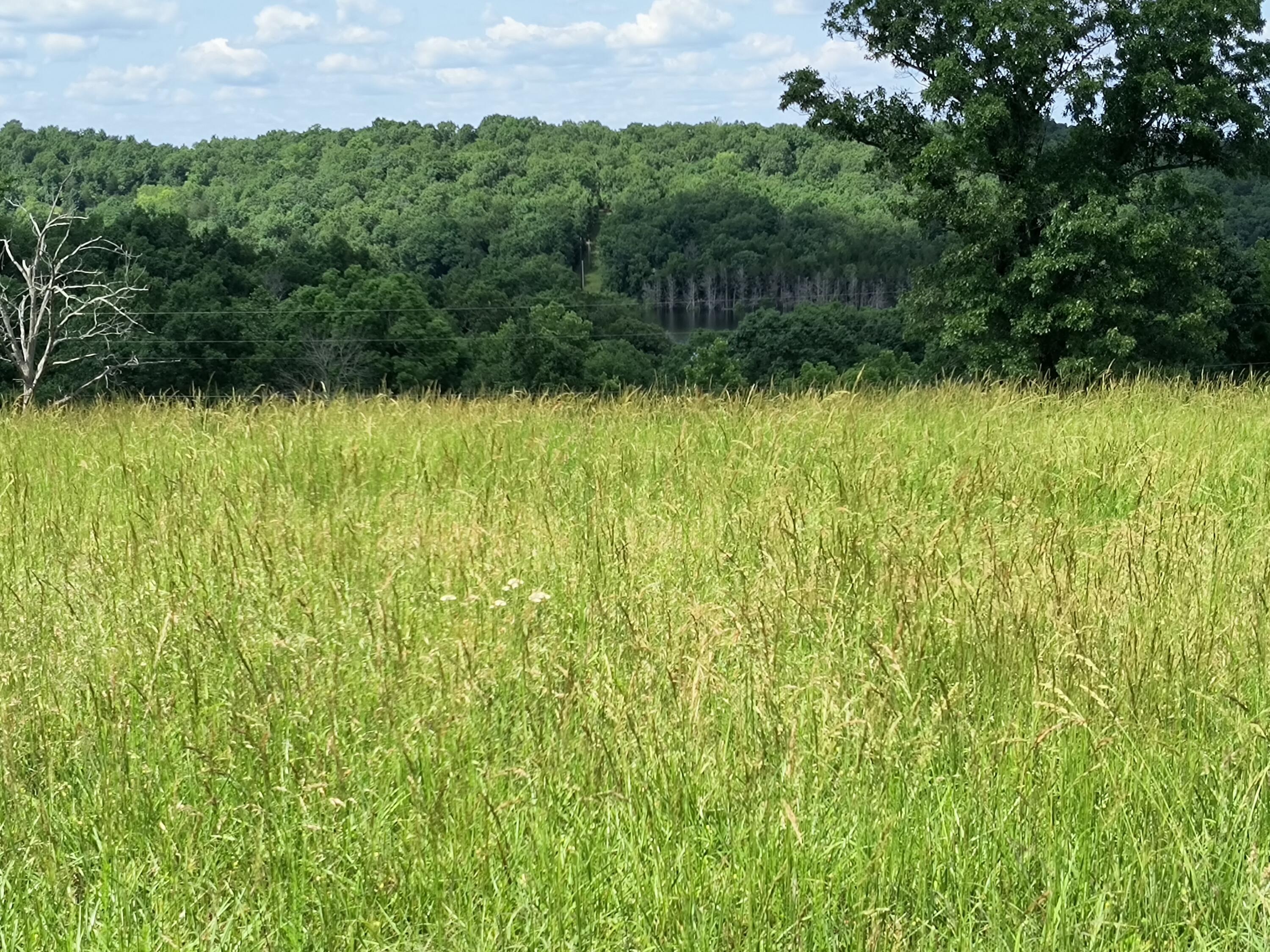 Photo 9 - Land for sale – 000  Eagle Wing   Theodosia, MO