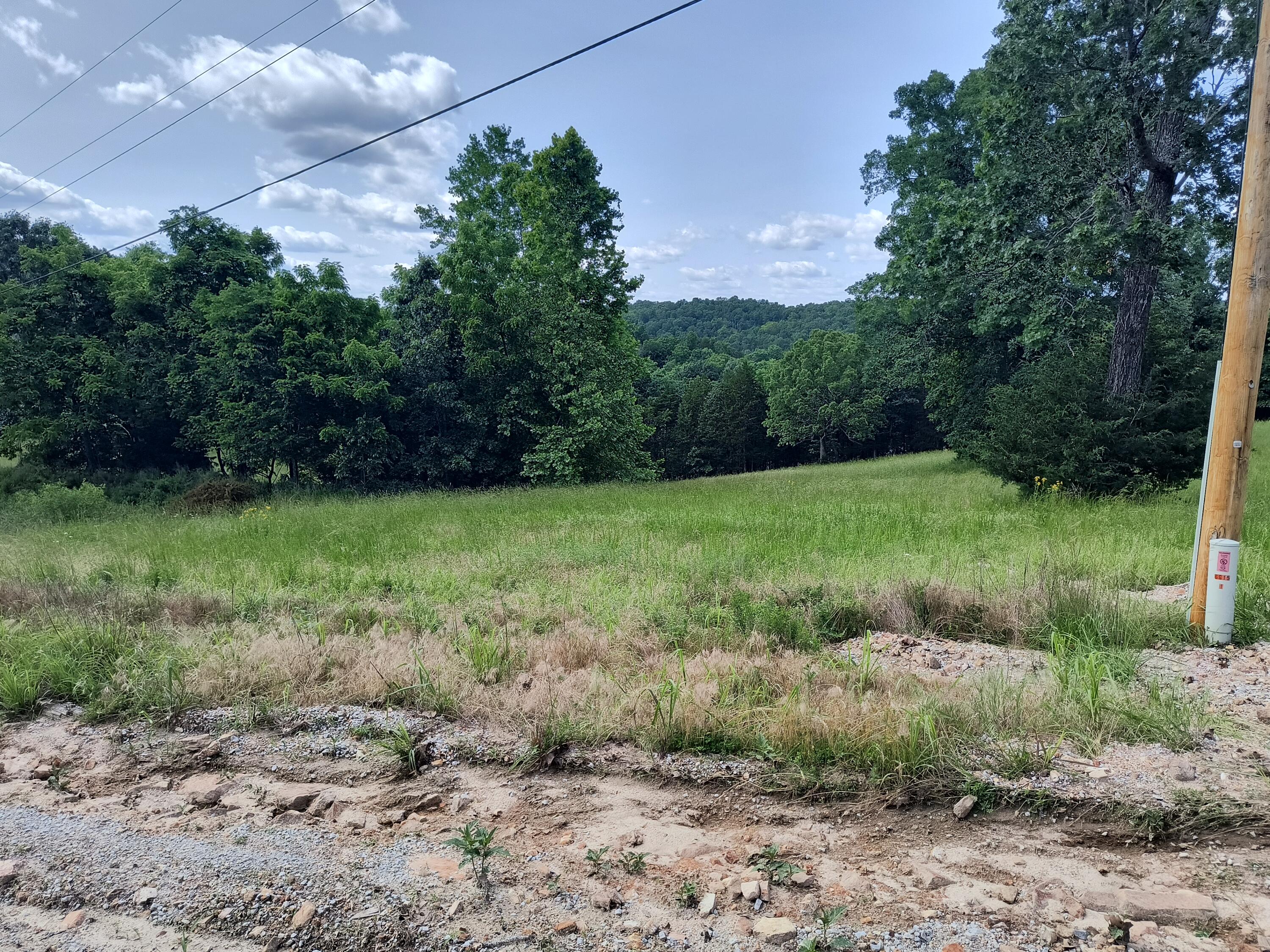 Photo 10 - Land for sale – 000  Eagle Wing   Theodosia, MO