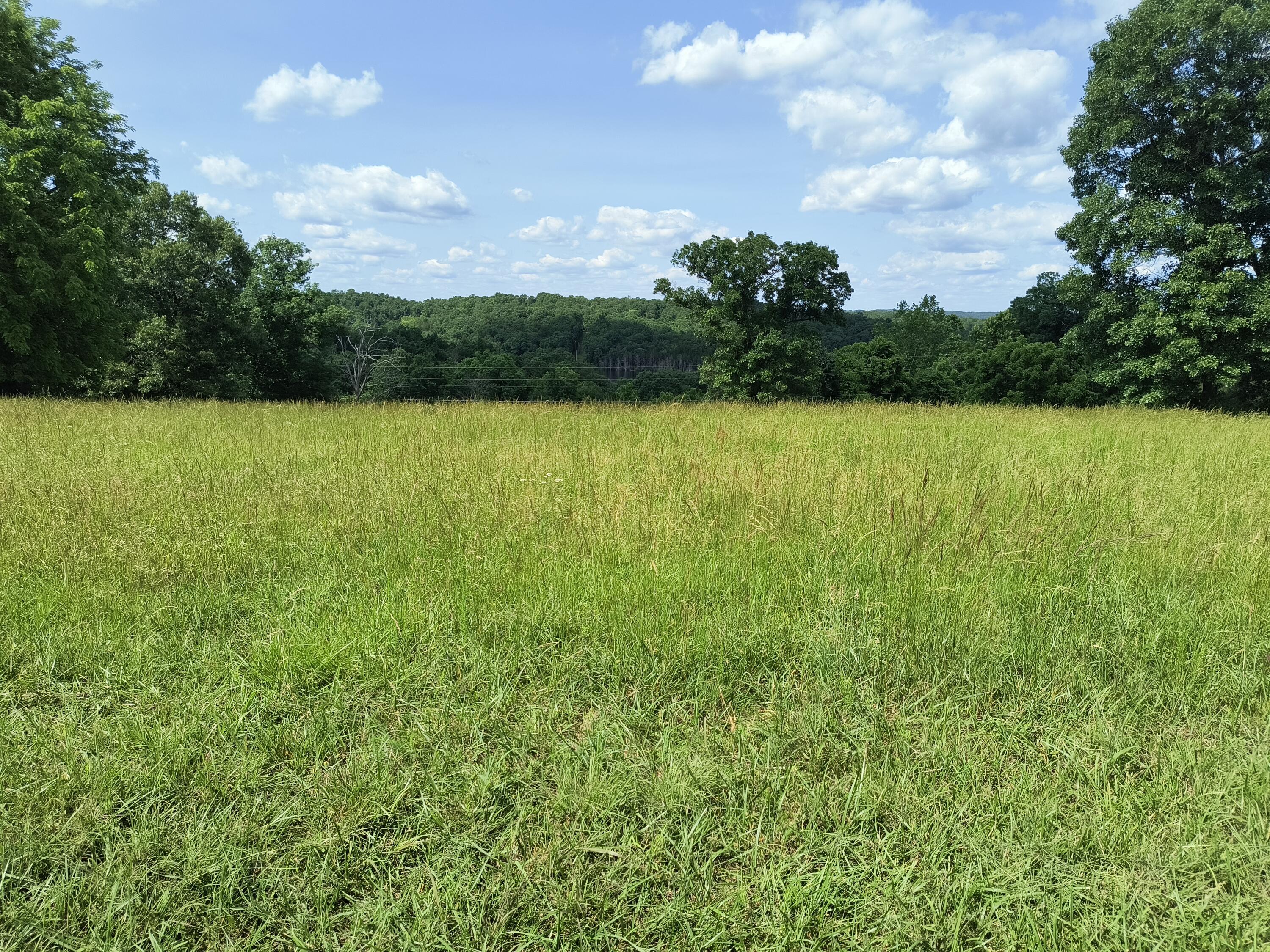 Photo 5 - Land for sale – 000  Eagle Wing   Theodosia, MO