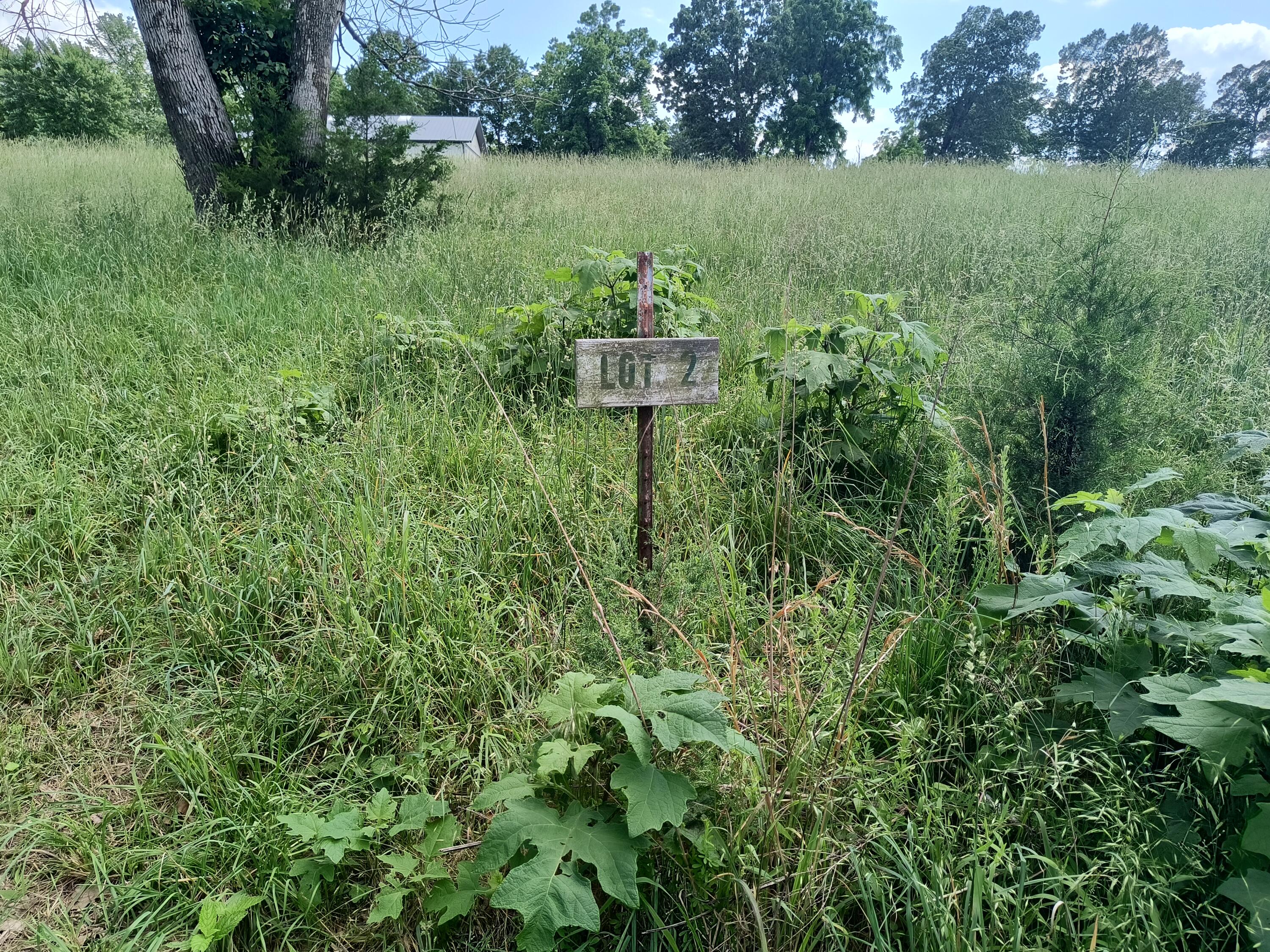 Photo 8 - Land for sale – 000  Eagle Wing   Theodosia, MO