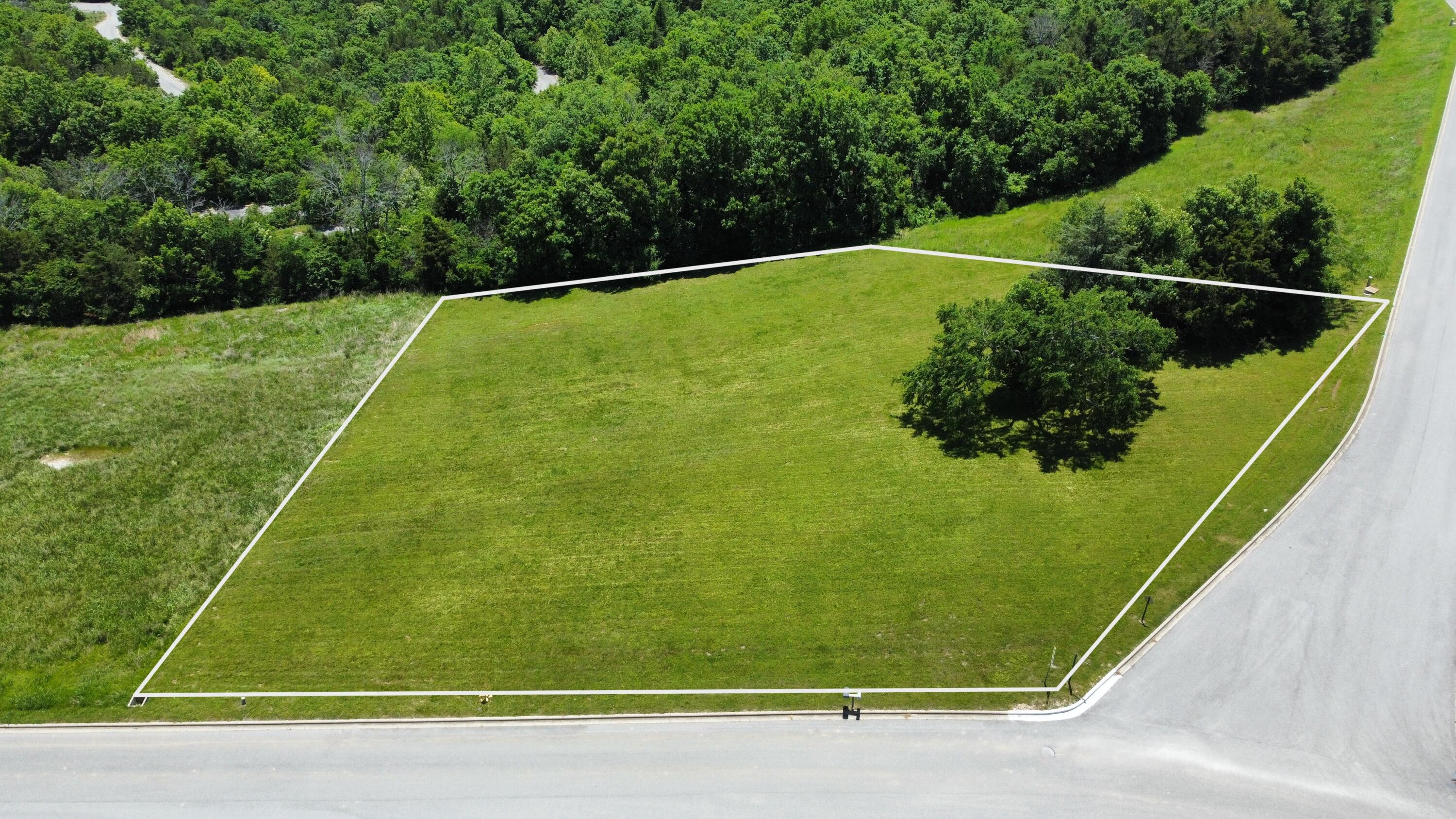 Photo 2 - Land for sale – 000  Emerald Pointe Drive Lot 243   Hollister, MO