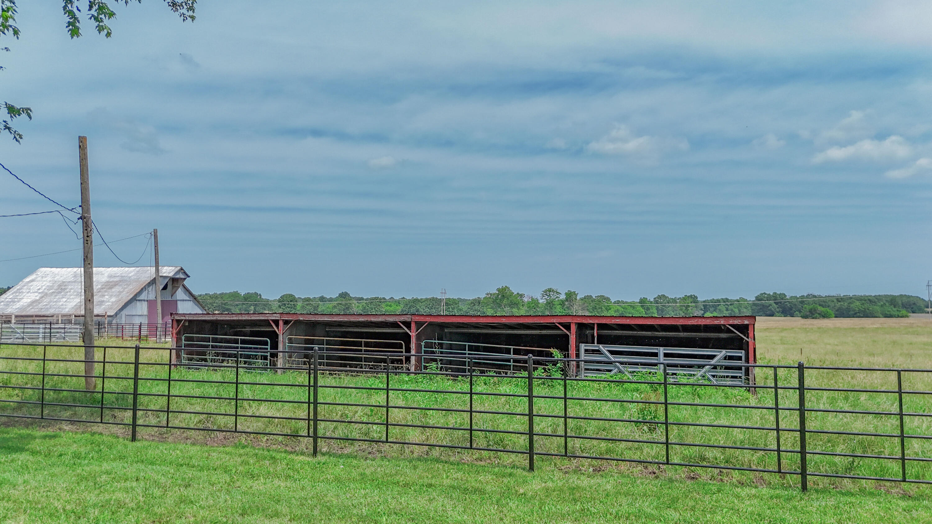 Photo 14 - Farm for sale – 9661 E 1070   Stockton, MO