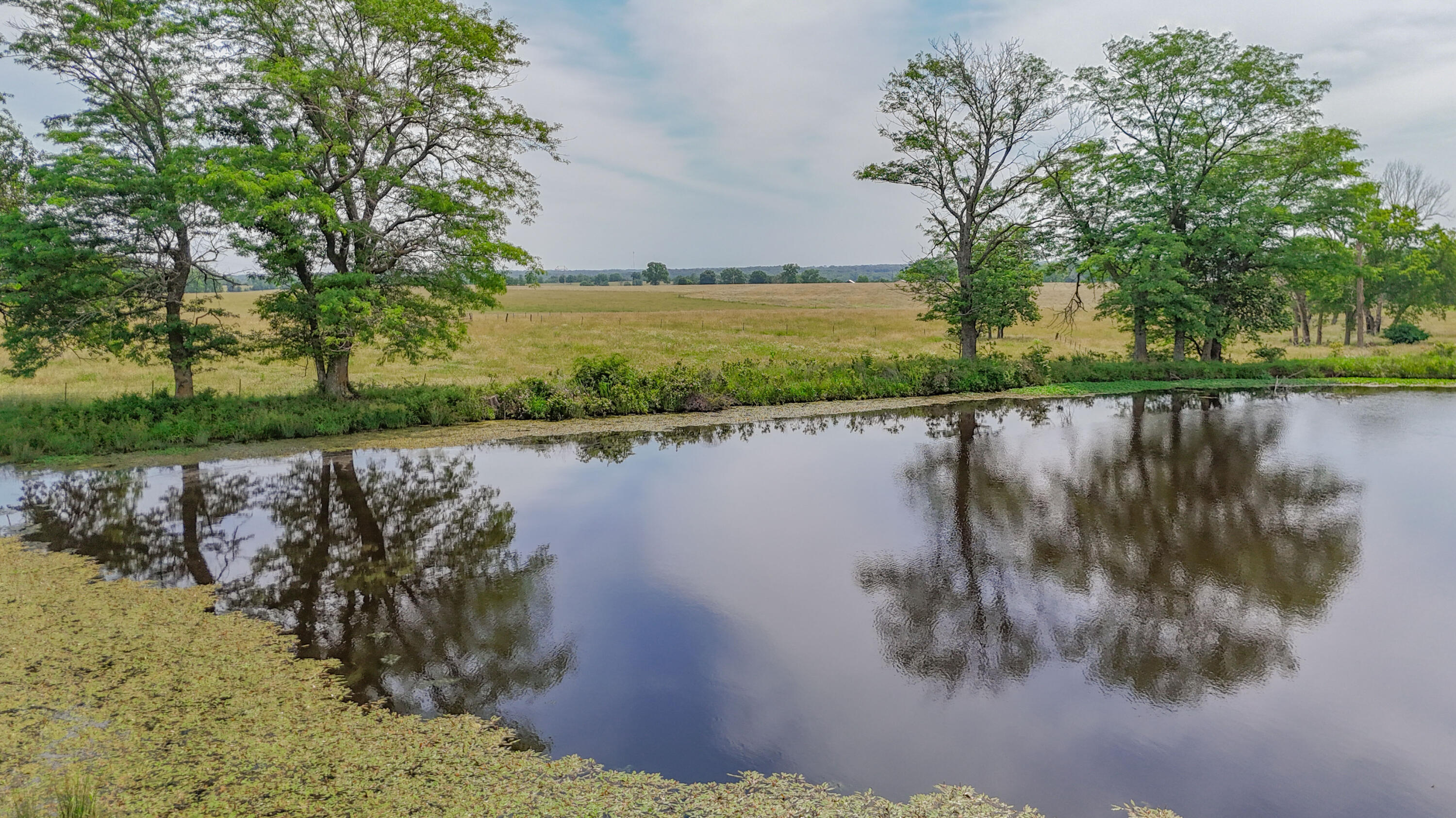 Photo 22 - Farm for sale – 9661 E 1070   Stockton, MO