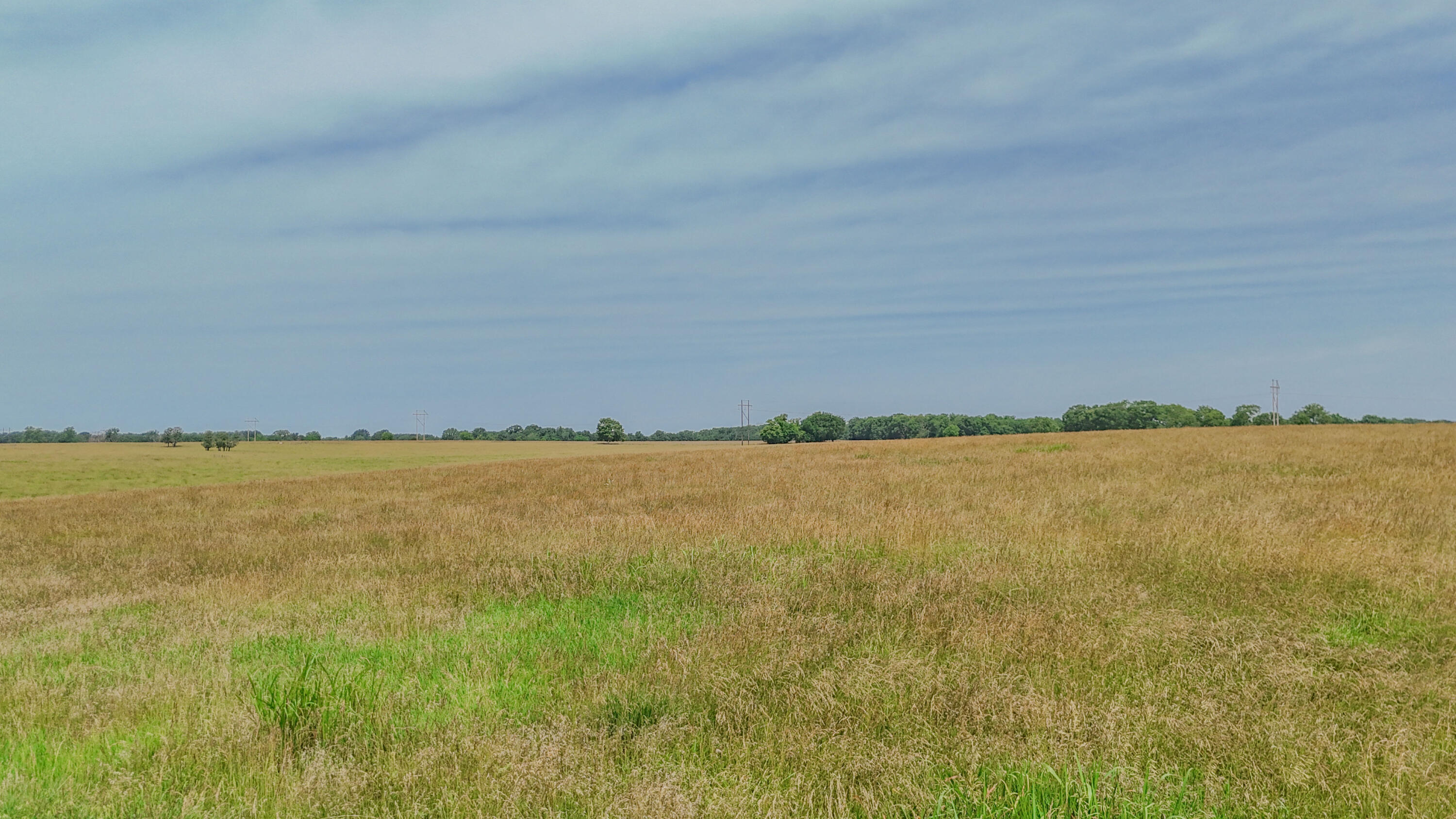 Photo 17 - Farm for sale – 9661 E 1070   Stockton, MO