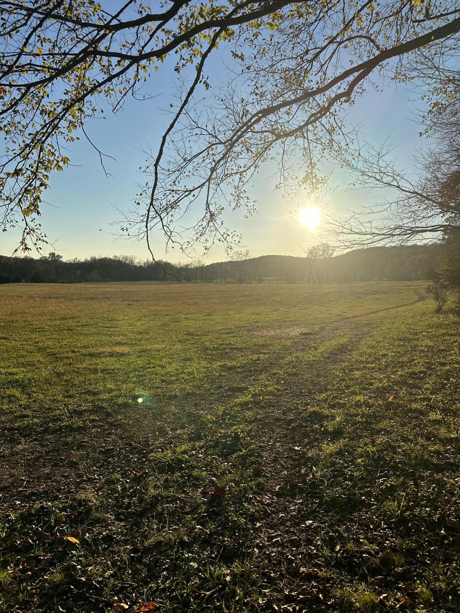 Photo 13 - Land for sale – ...  Choctaw Road 29 Acres   Fordland, MO