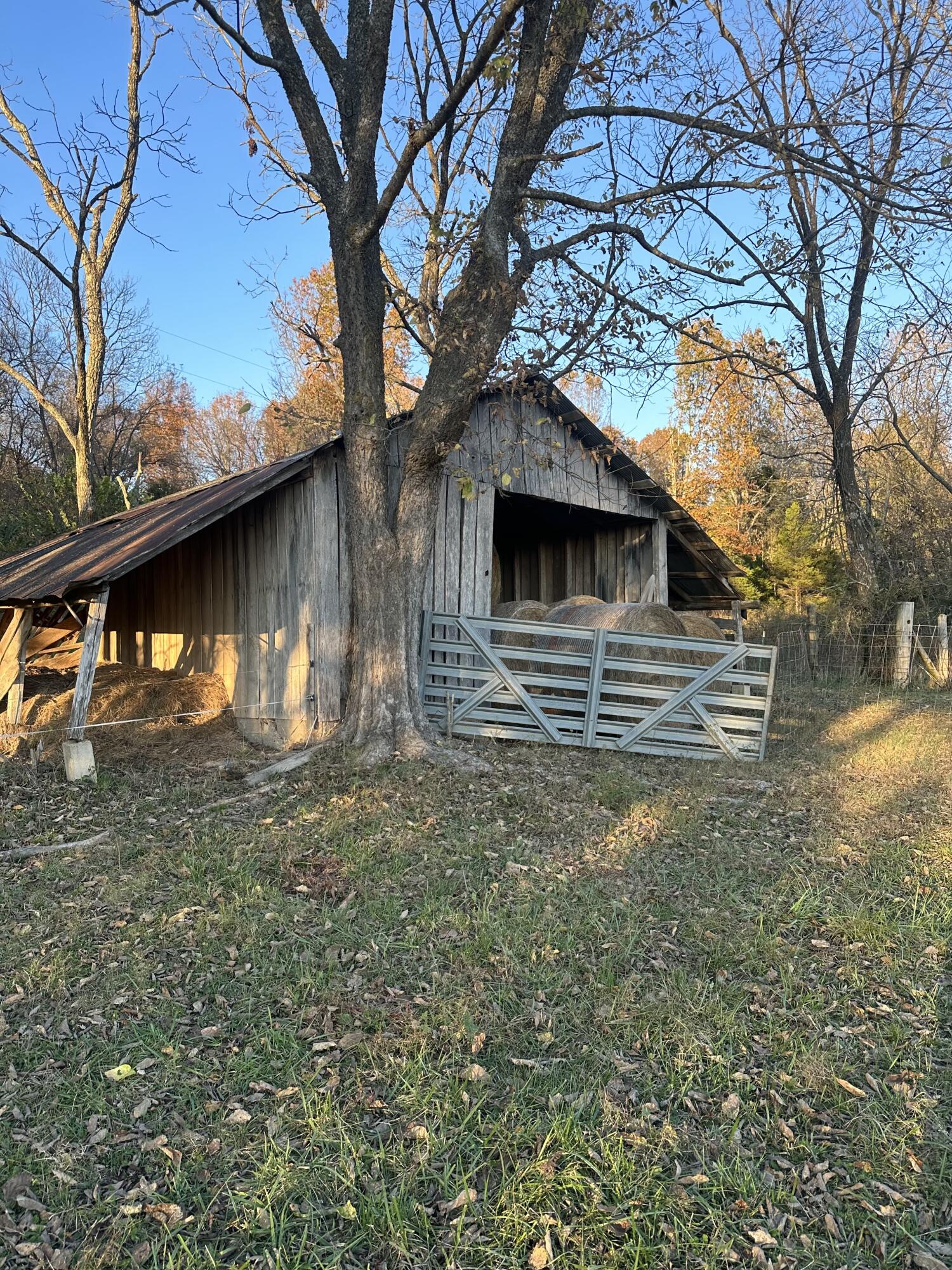 Photo 2 - Land for sale – ...  Choctaw Road 29 Acres   Fordland, MO