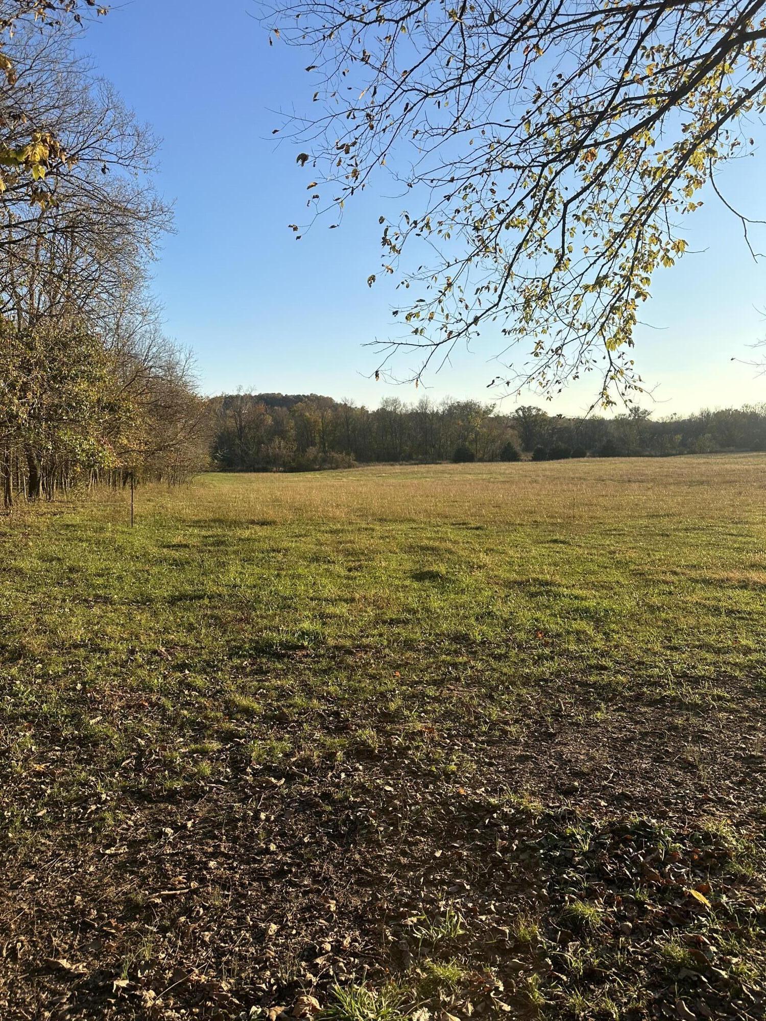 Photo 14 - Land for sale – ...  Choctaw Road 29 Acres   Fordland, MO