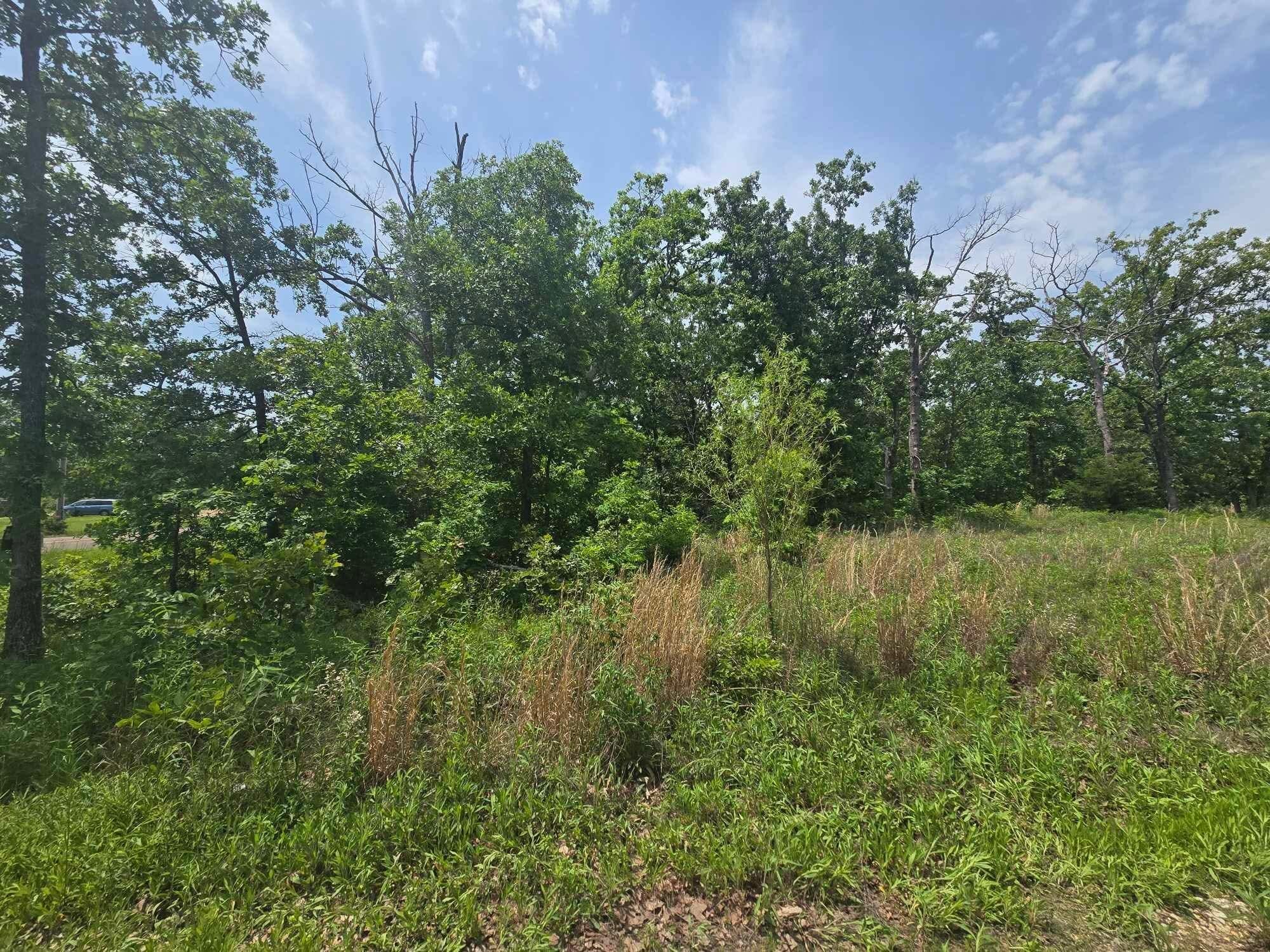 Photo 3 - Land for sale – 000  64 Hwy   Lebanon, MO