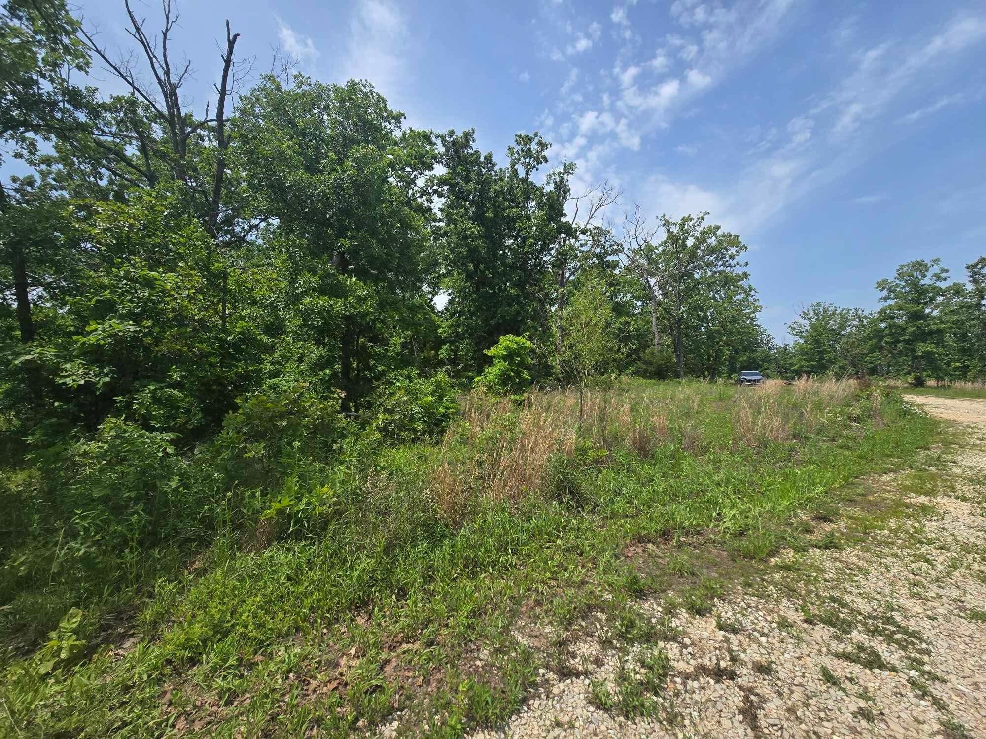 Photo 2 - Land for sale – 000  64 Hwy   Lebanon, MO