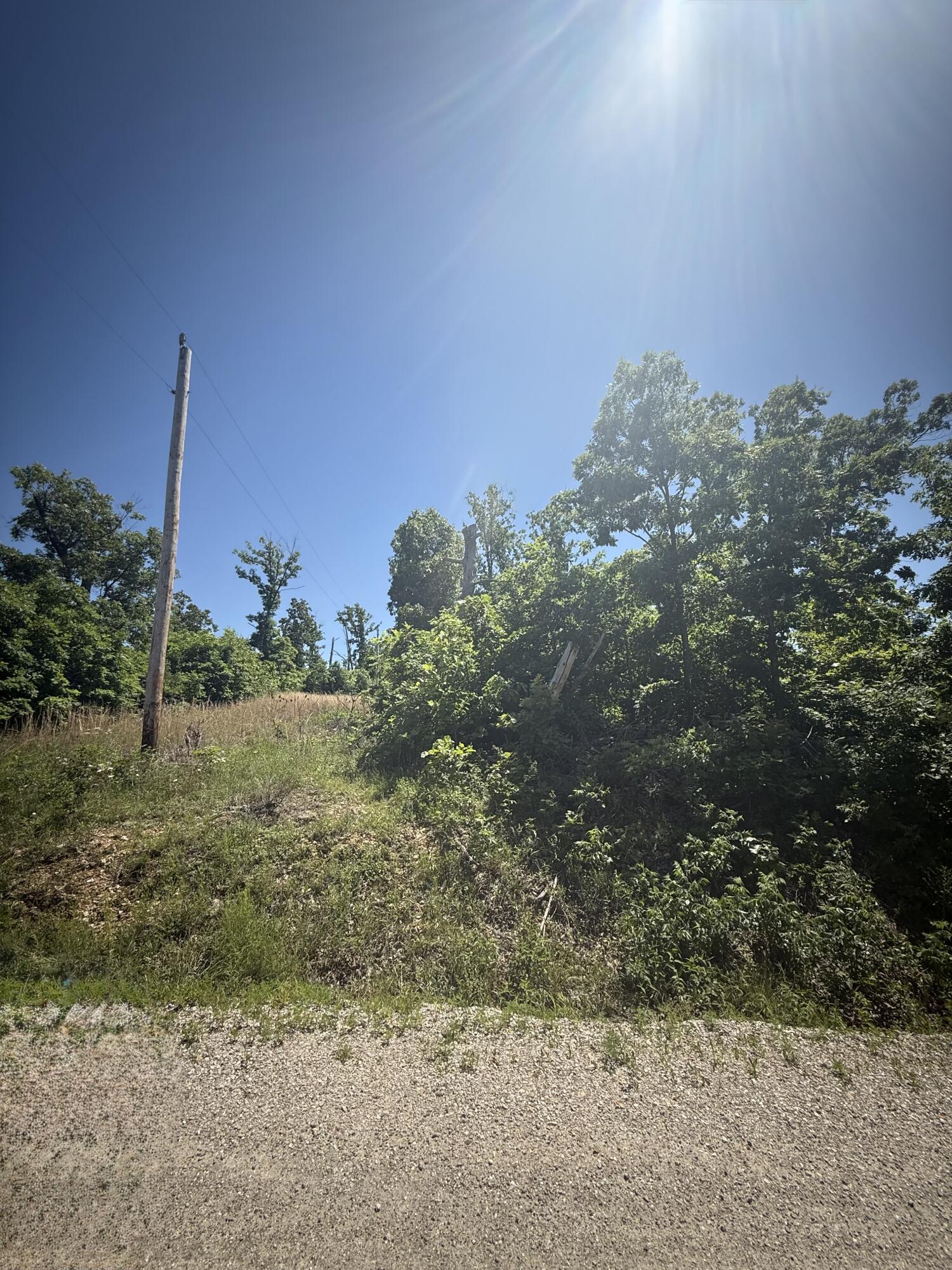 Land for sale – 000 Stanton Road Richland, MO