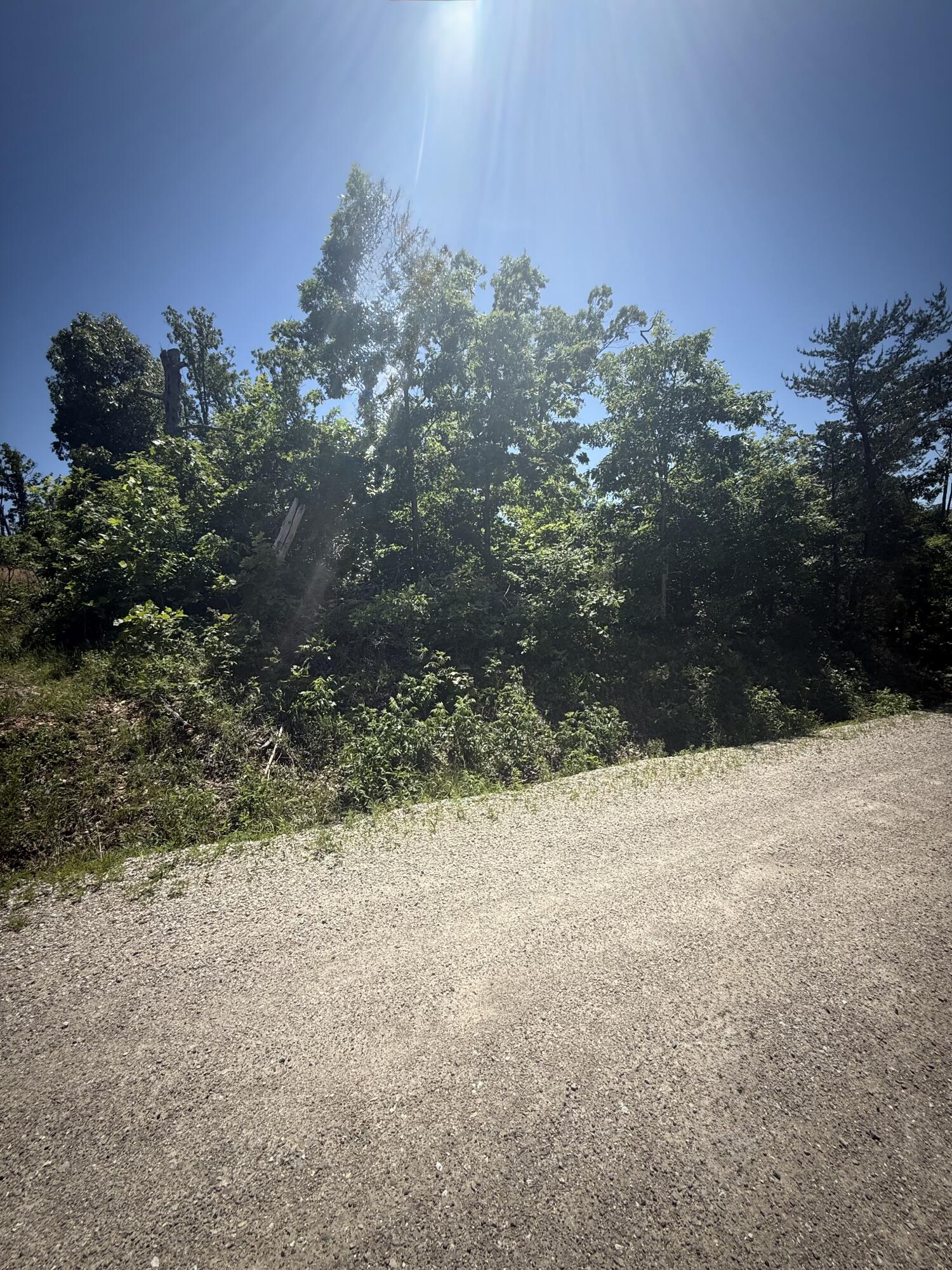 Photo 2 - Land for sale – 000  Stanton Road  Richland, MO