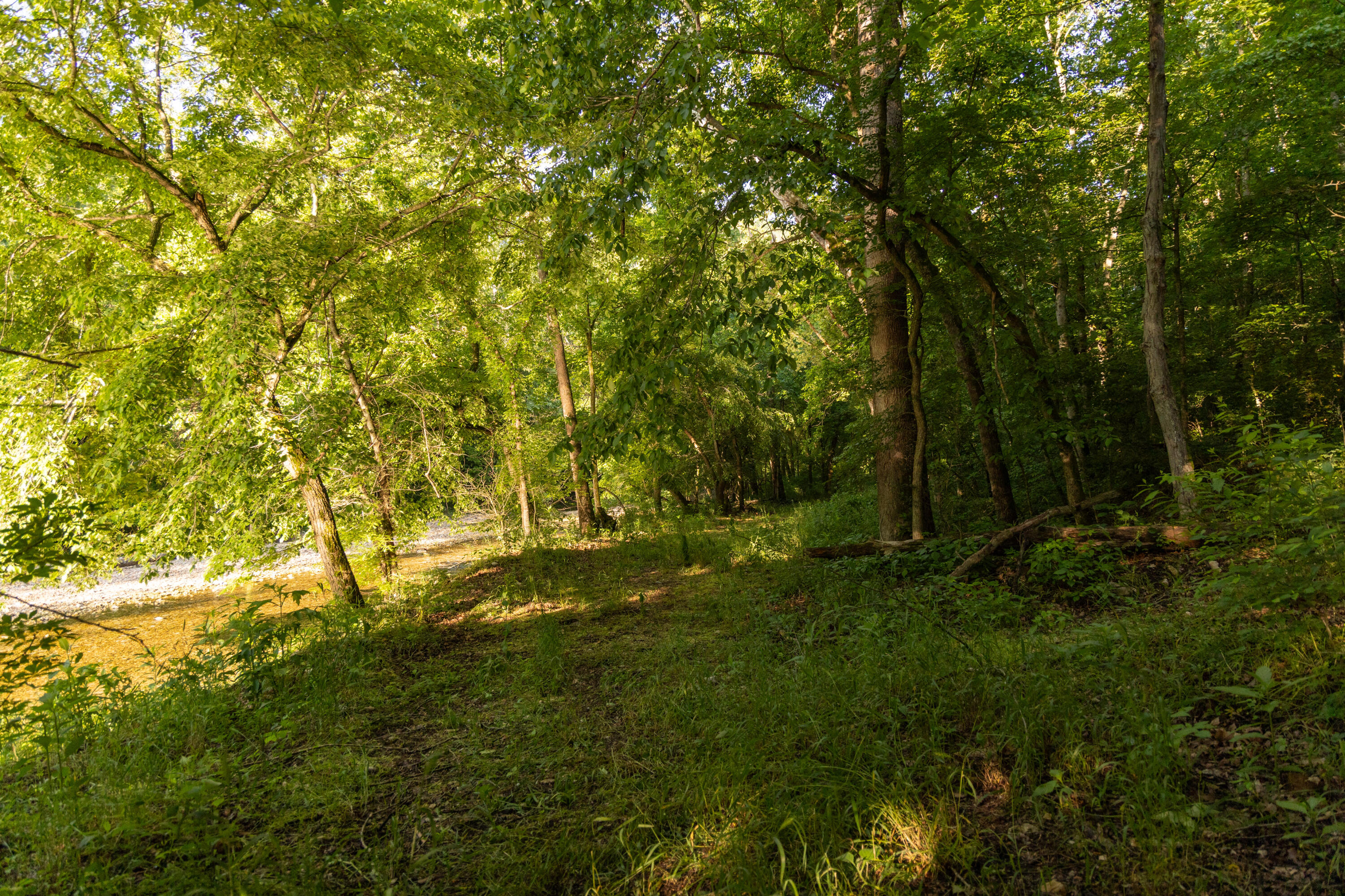 Photo 83 - Residential for sale – 0000  Farm Road 1090   Washburn, MO
