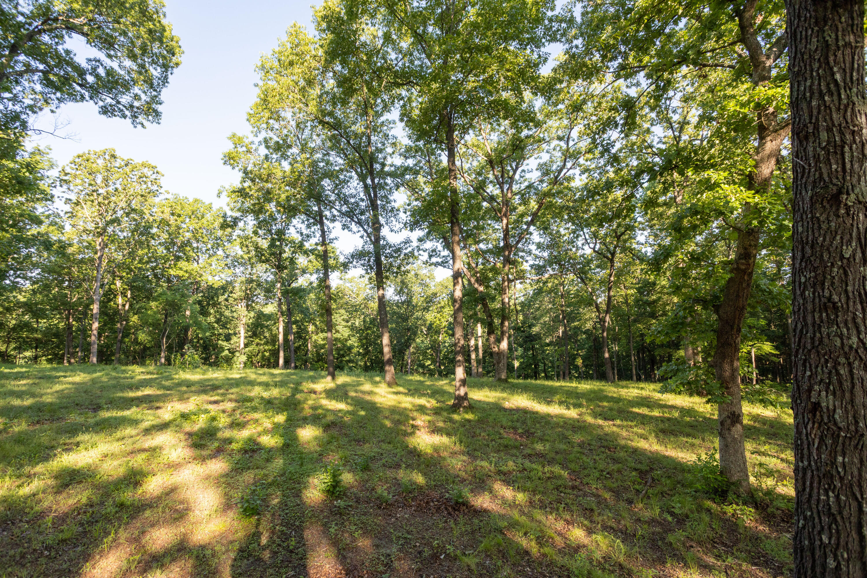 Photo 58 - Residential for sale – 0000  Farm Road 1090   Washburn, MO