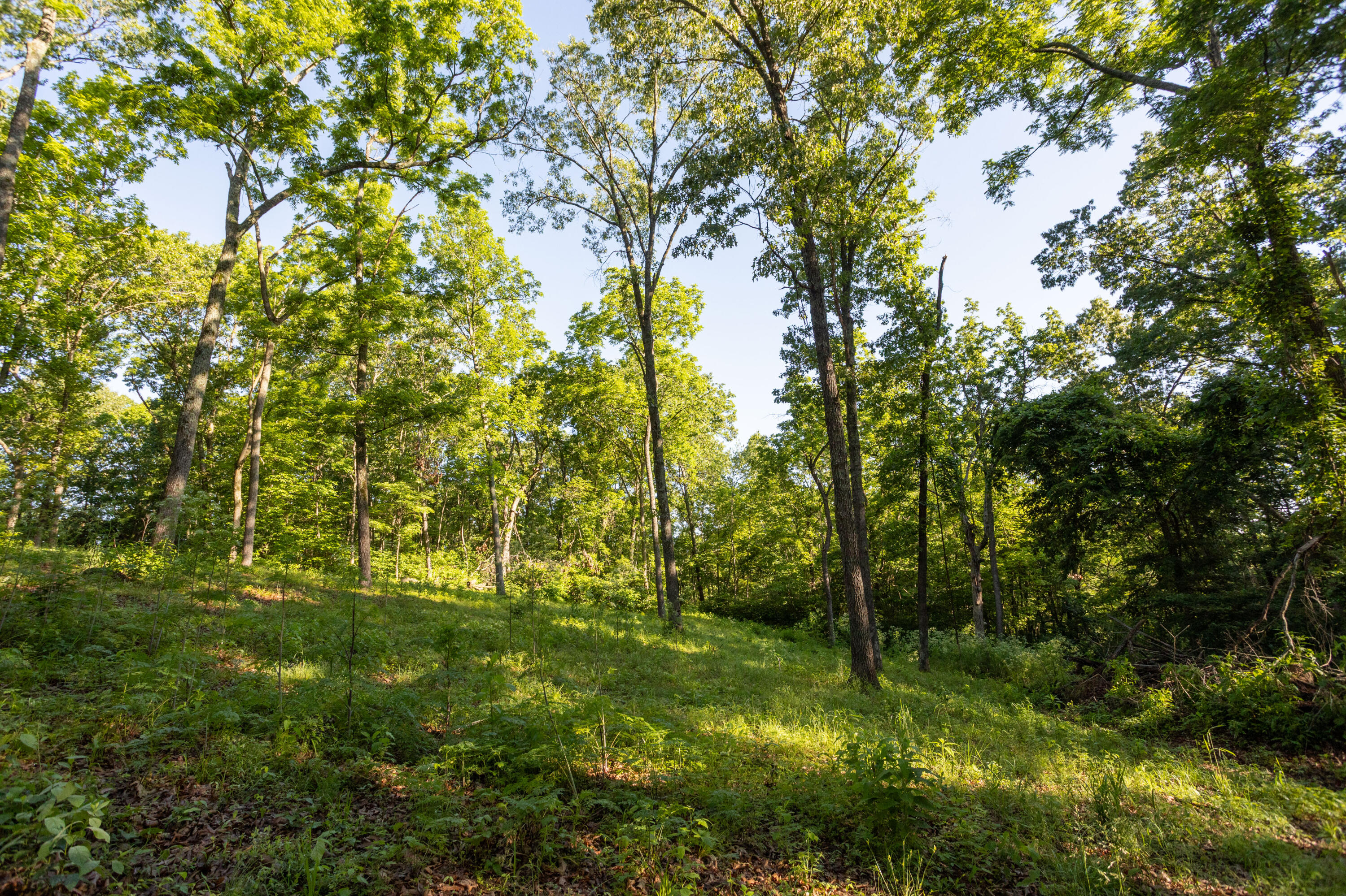 Photo 61 - Residential for sale – 0000  Farm Road 1090   Washburn, MO