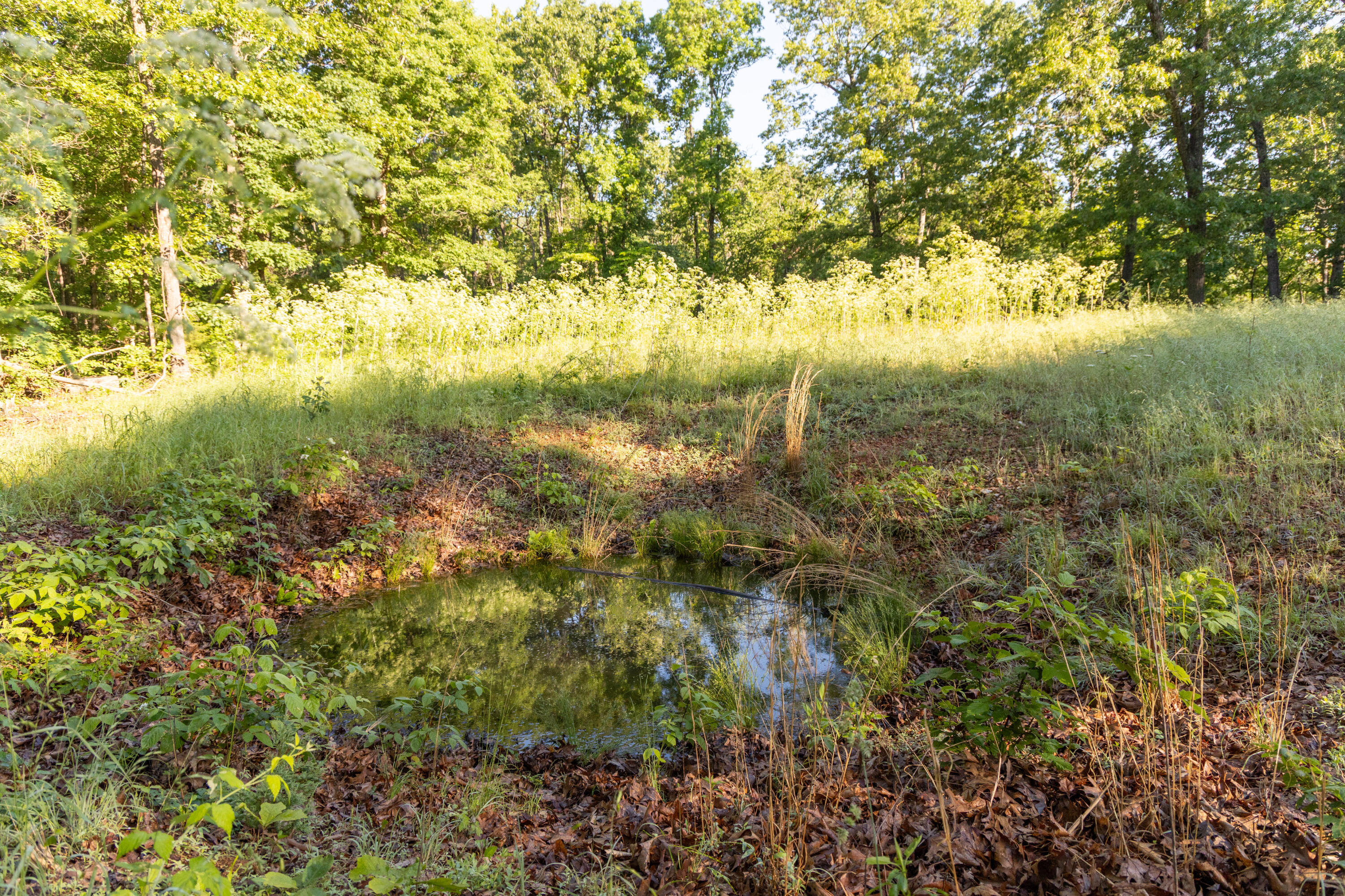 Photo 68 - Residential for sale – 0000  Farm Road 1090   Washburn, MO