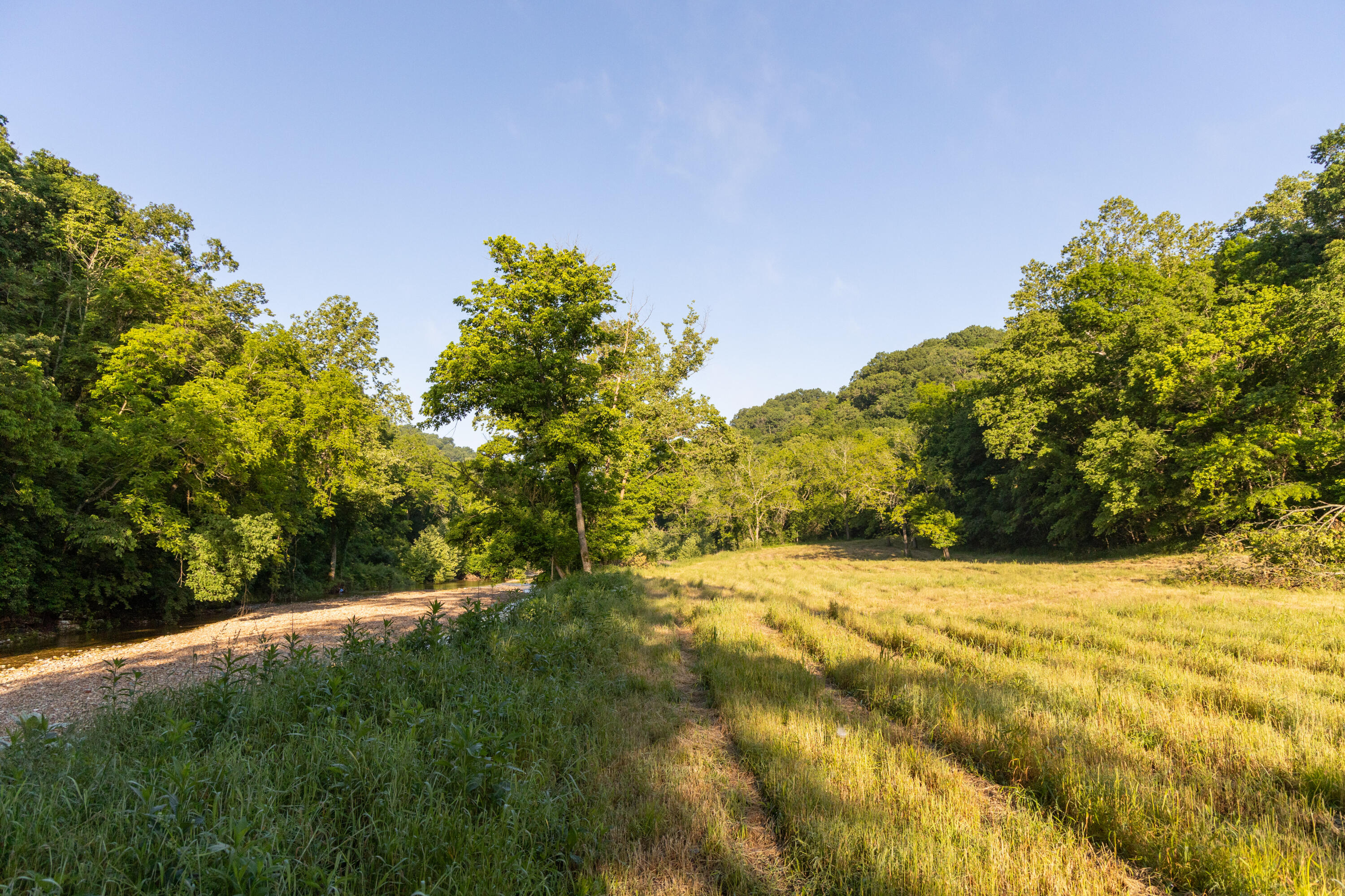 Photo 84 - Residential for sale – 0000  Farm Road 1090   Washburn, MO