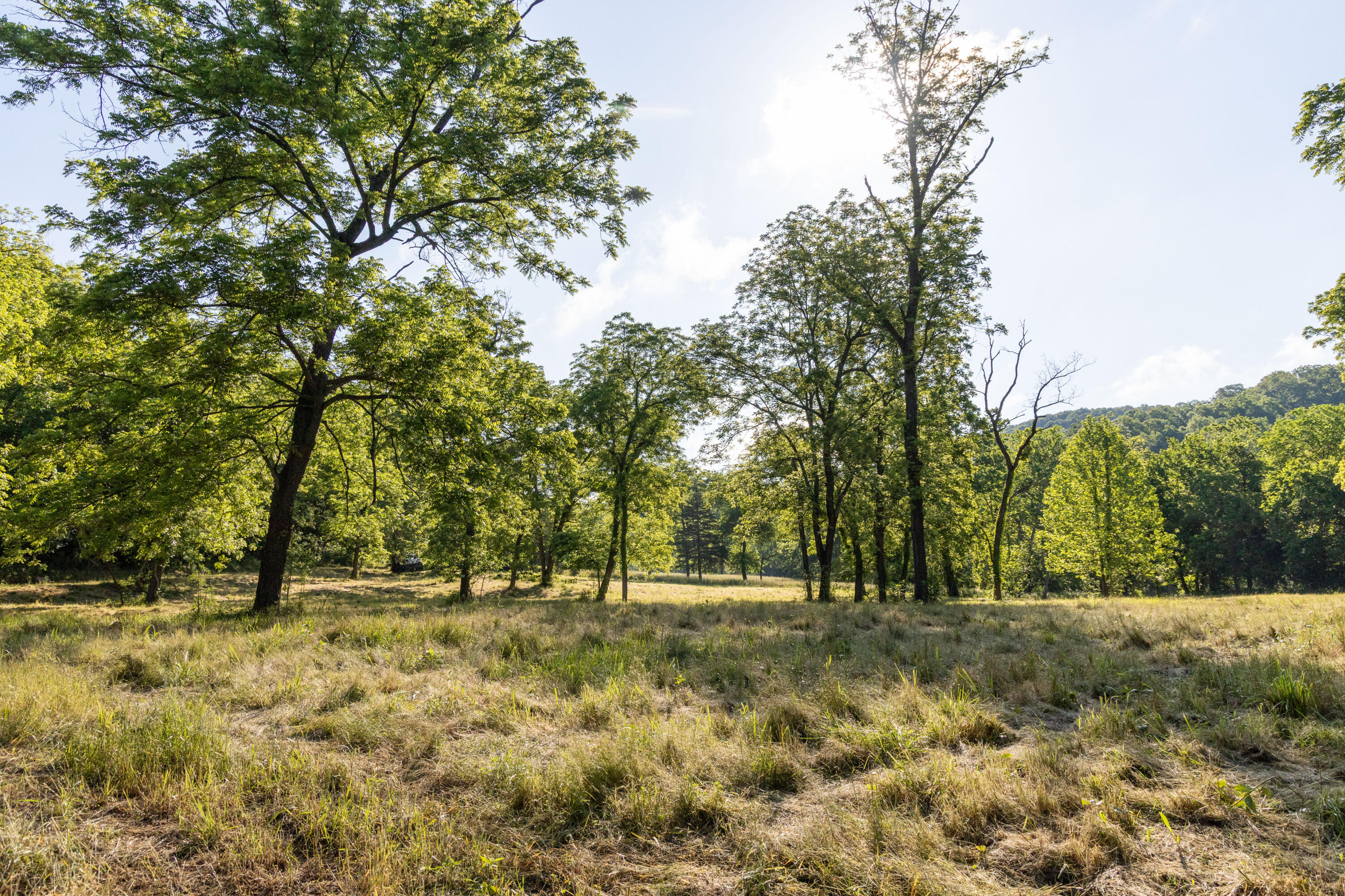 Photo 53 - Residential for sale – 0000  Farm Road 1090   Washburn, MO