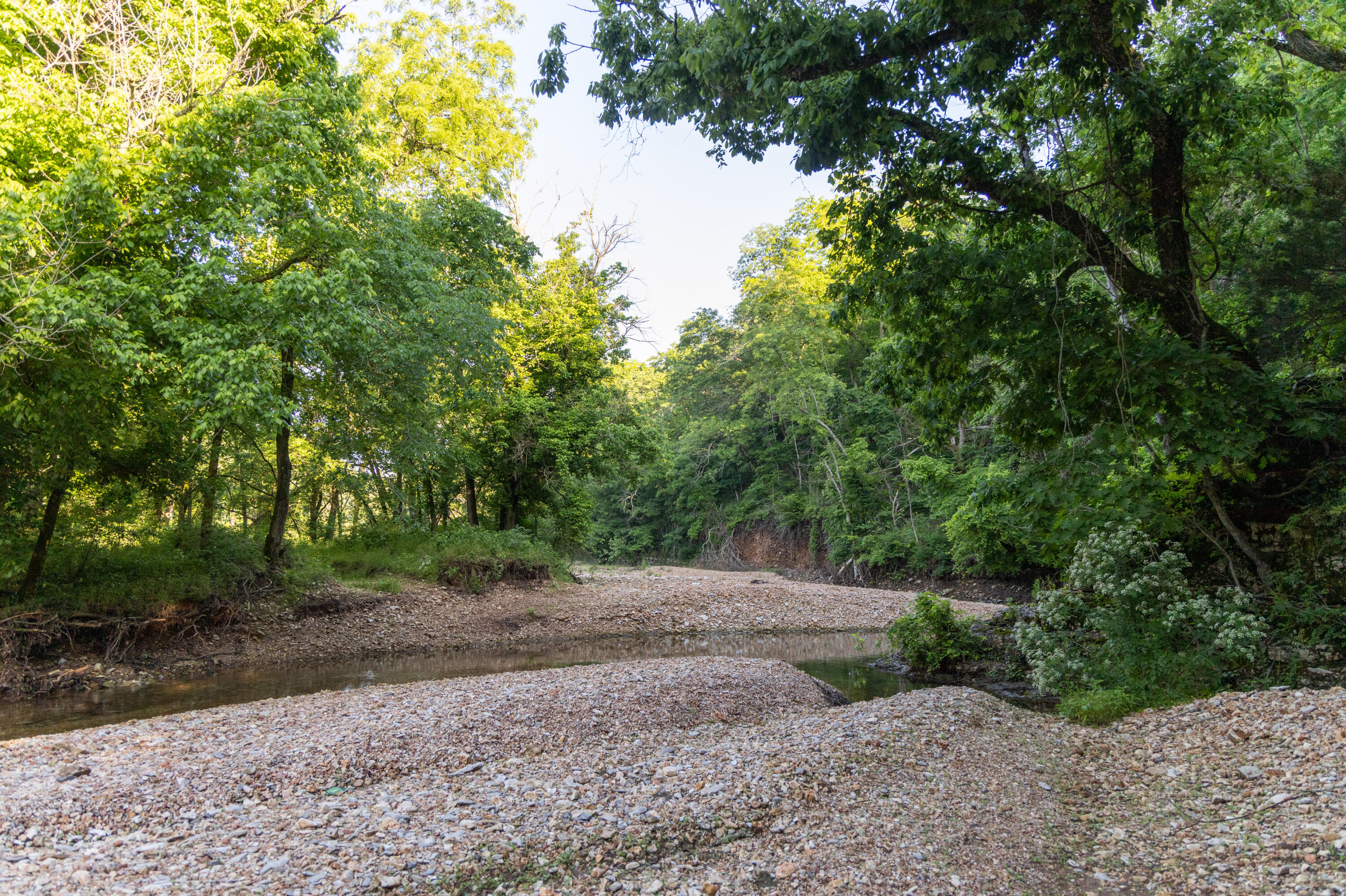 Photo 82 - Residential for sale – 0000  Farm Road 1090   Washburn, MO