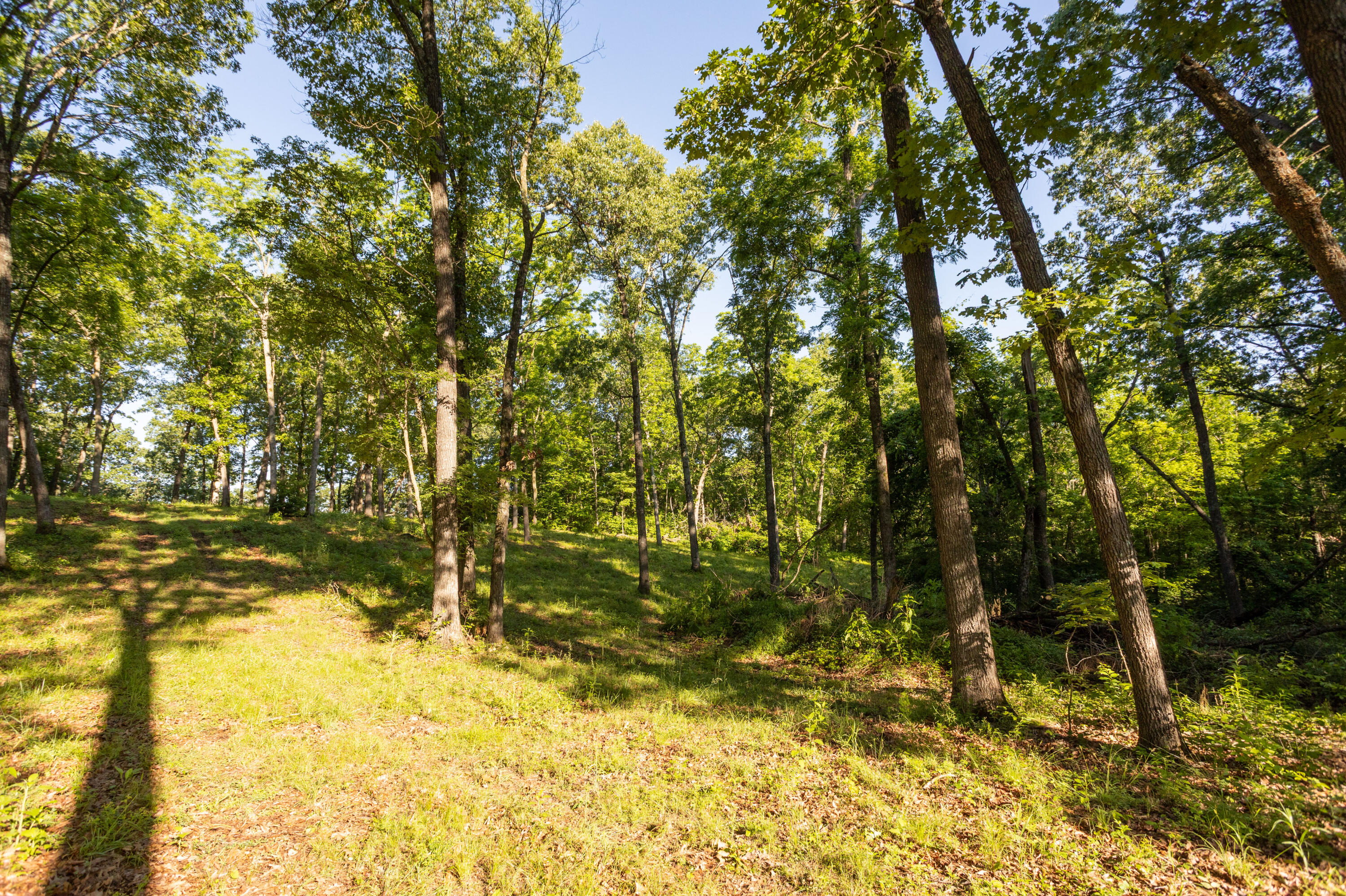 Photo 62 - Residential for sale – 0000  Farm Road 1090   Washburn, MO