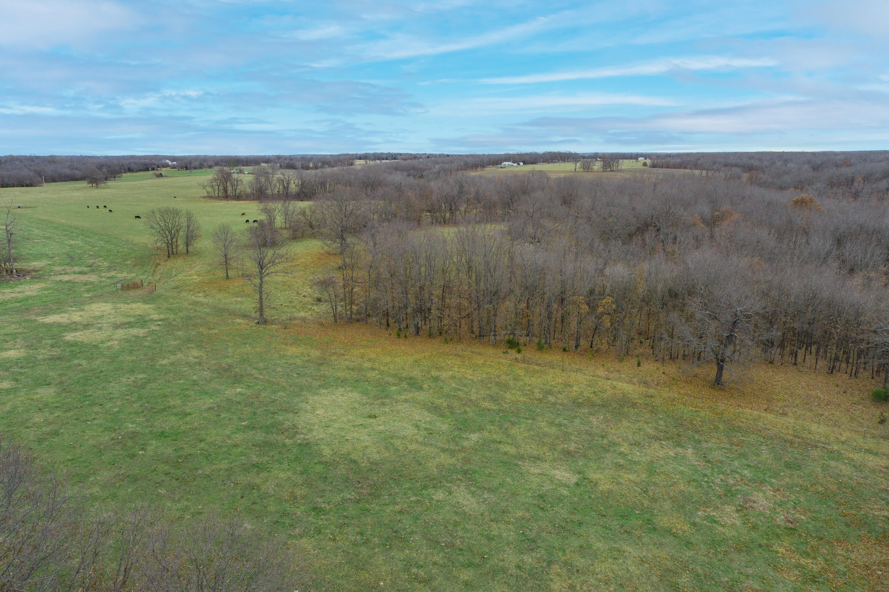 Photo 89 - Farm for sale – 13790  Highway W   Wheatland, MO