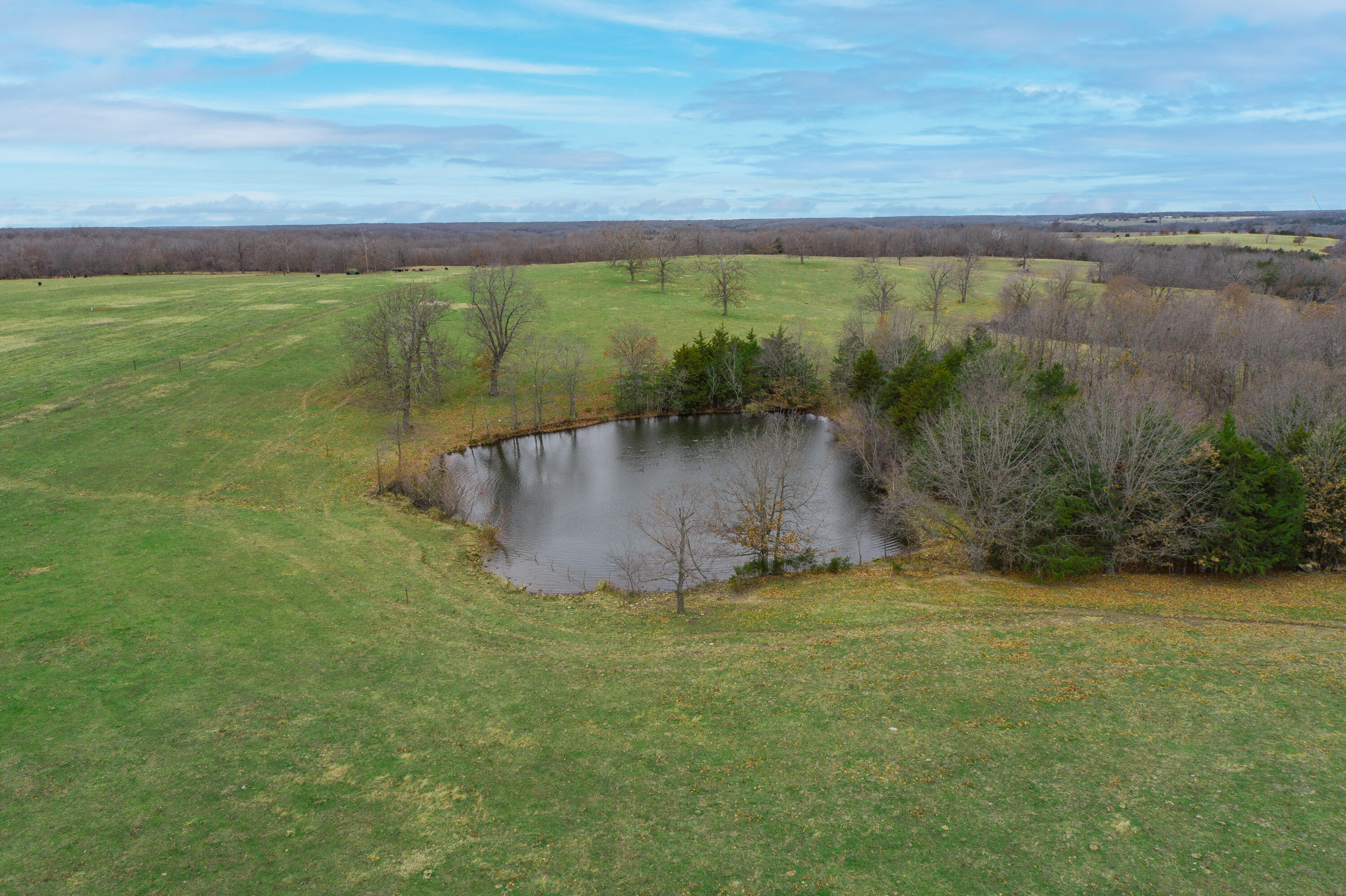Photo 81 - Farm for sale – 13790  Highway W   Wheatland, MO