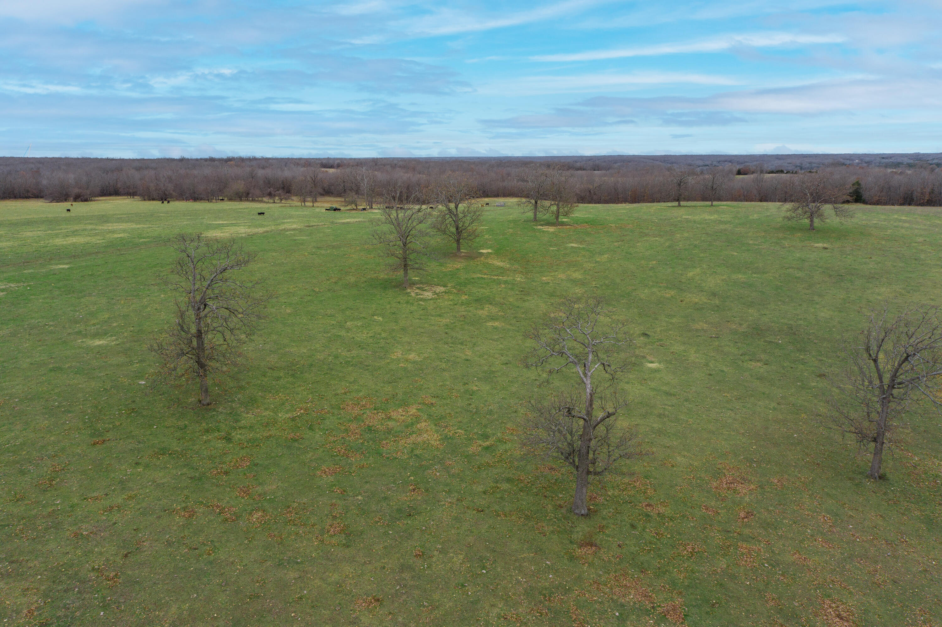 Photo 84 - Farm for sale – 13790  Highway W   Wheatland, MO