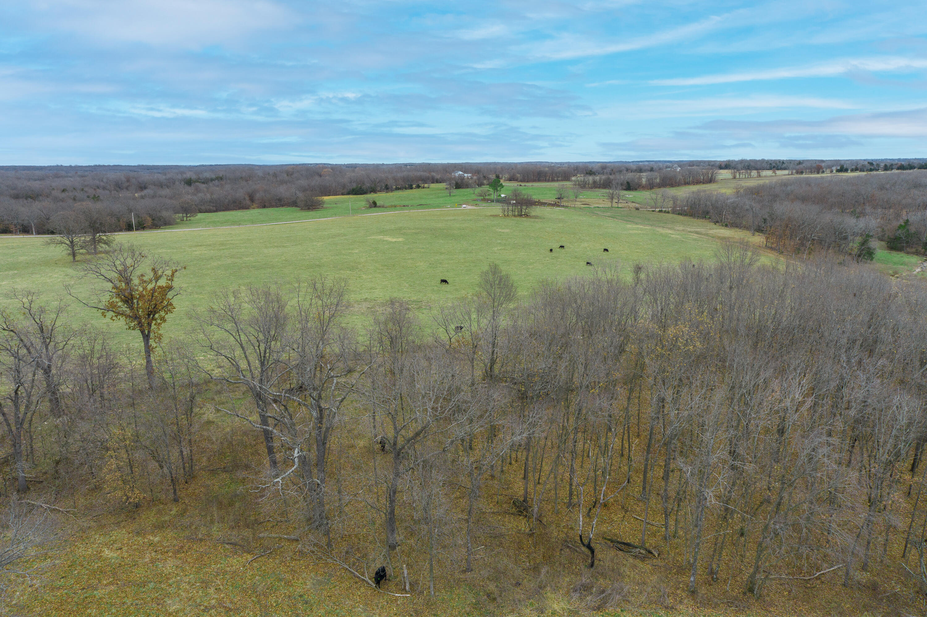 Photo 91 - Farm for sale – 13790  Highway W   Wheatland, MO